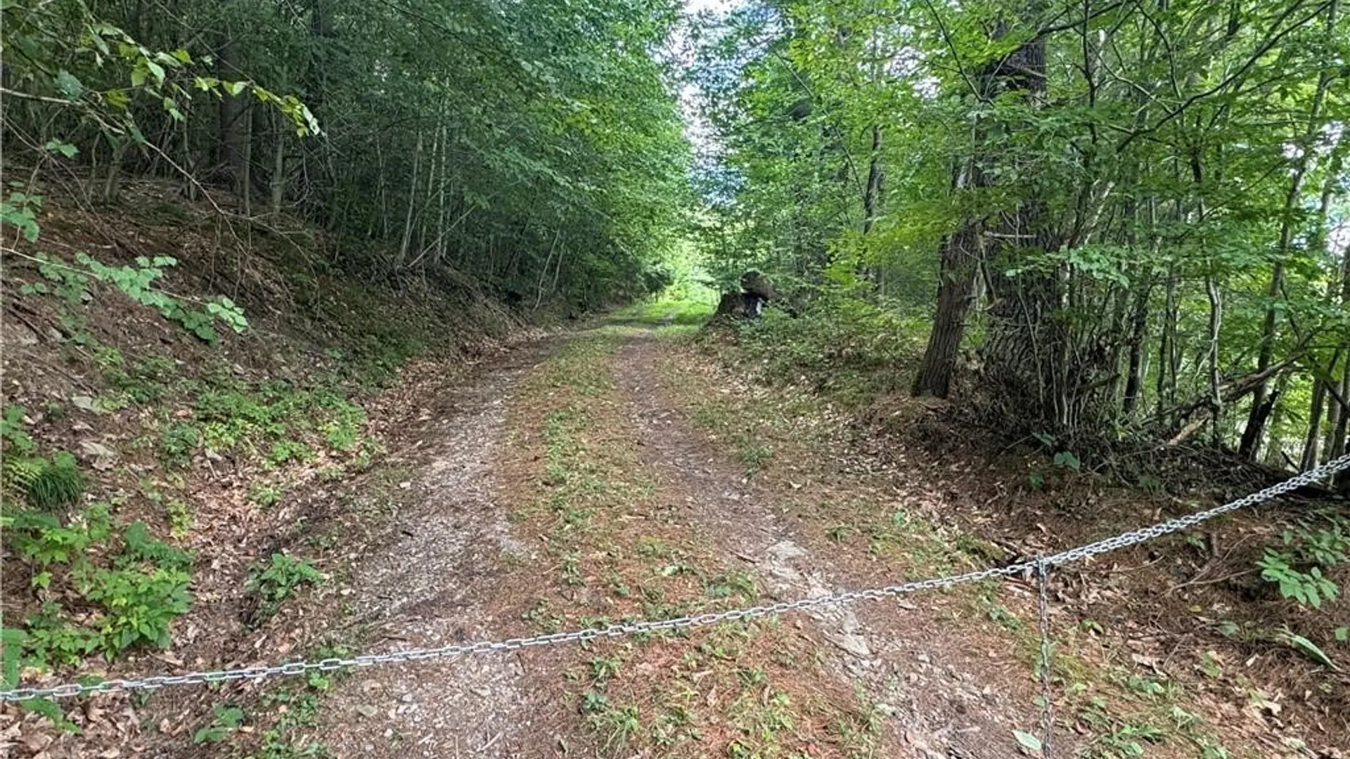 Property at 5400 County Road 38, Alma, NY 14708 3