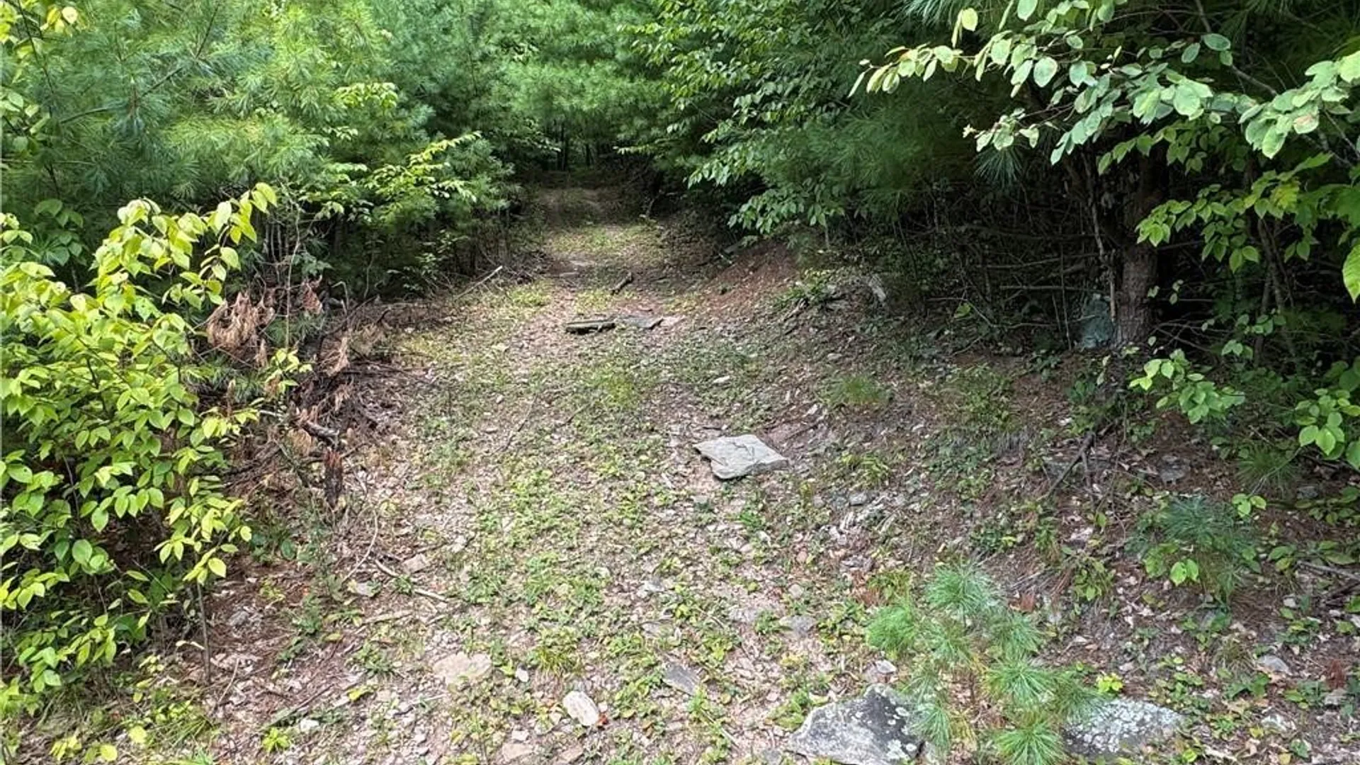 Property at 5400 County Road 38, Alma, NY 14708 35