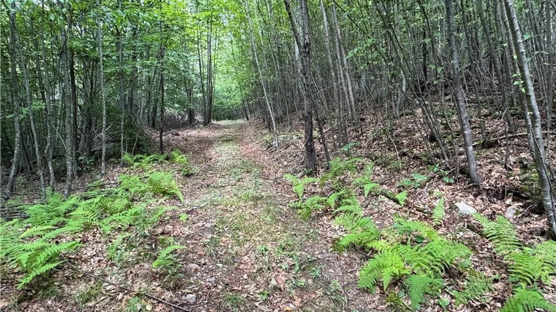 Property at 5400 County Road 38, Alma, NY 14708 36