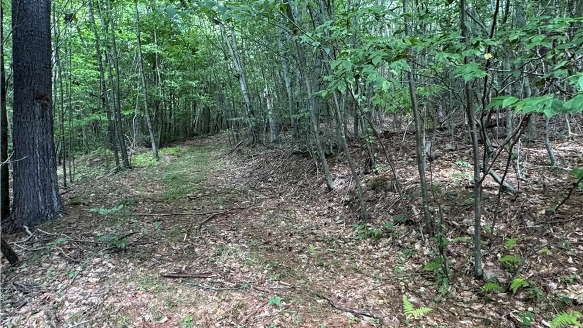 Property at 5400 County Road 38, Alma, NY 14708 37