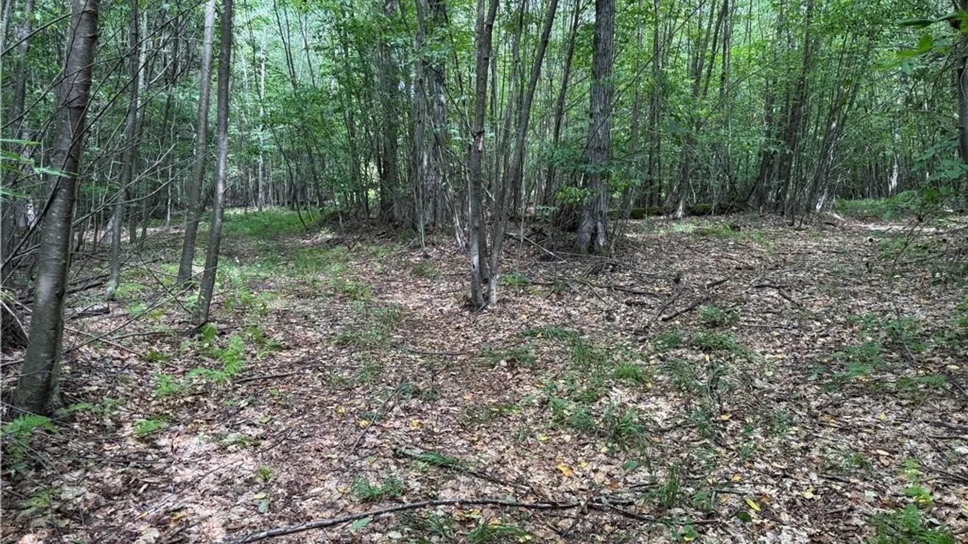 Property at 5400 County Road 38, Alma, NY 14708 38