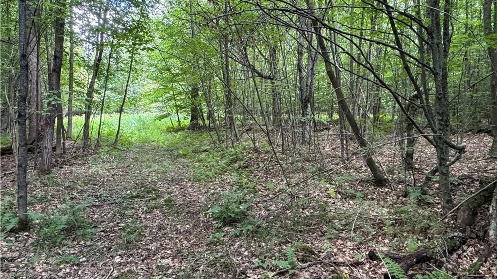 Property at 5400 County Road 38, Alma, NY 14708 39