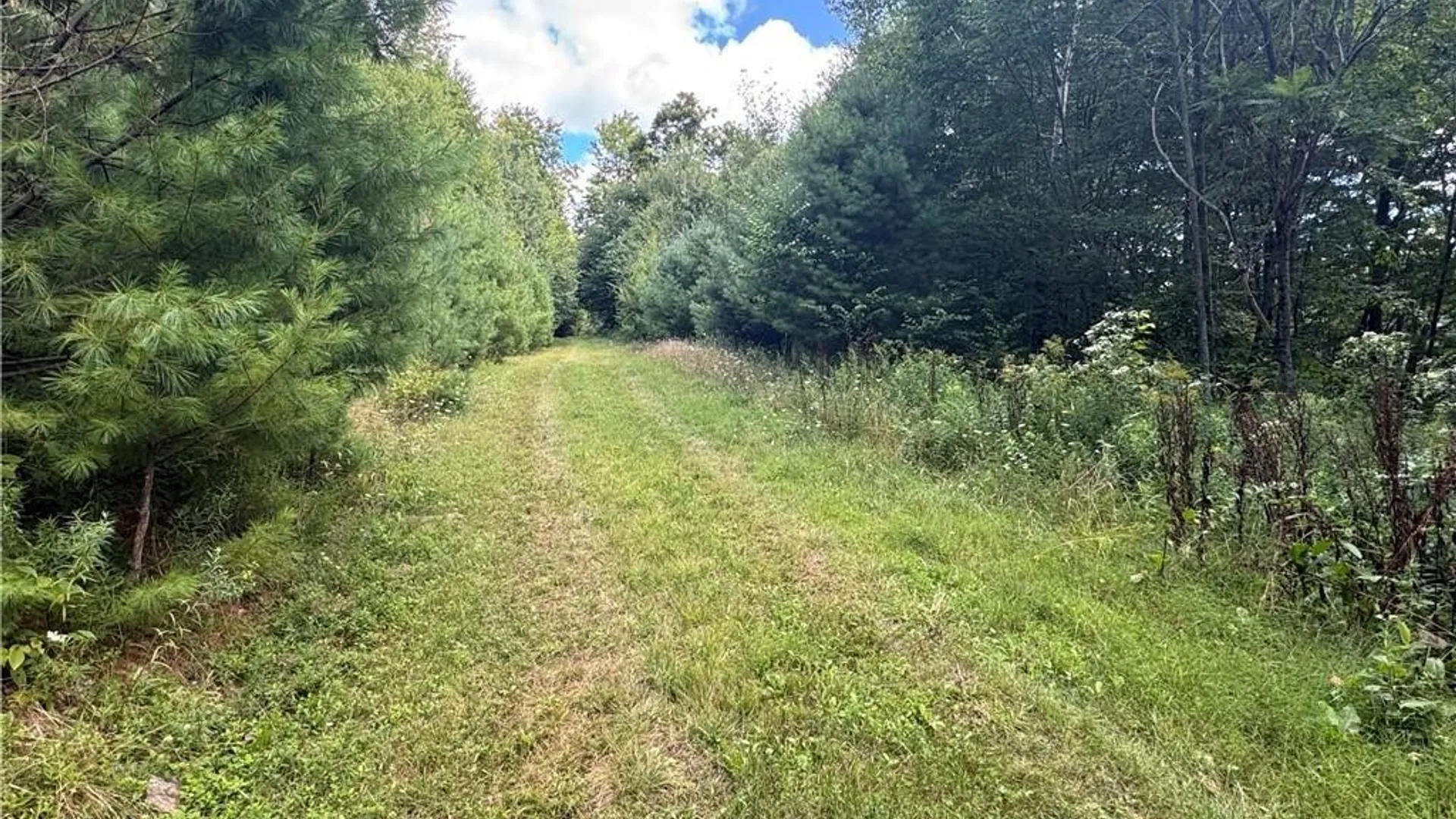 Property at 5400 County Road 38, Alma, NY 14708 4