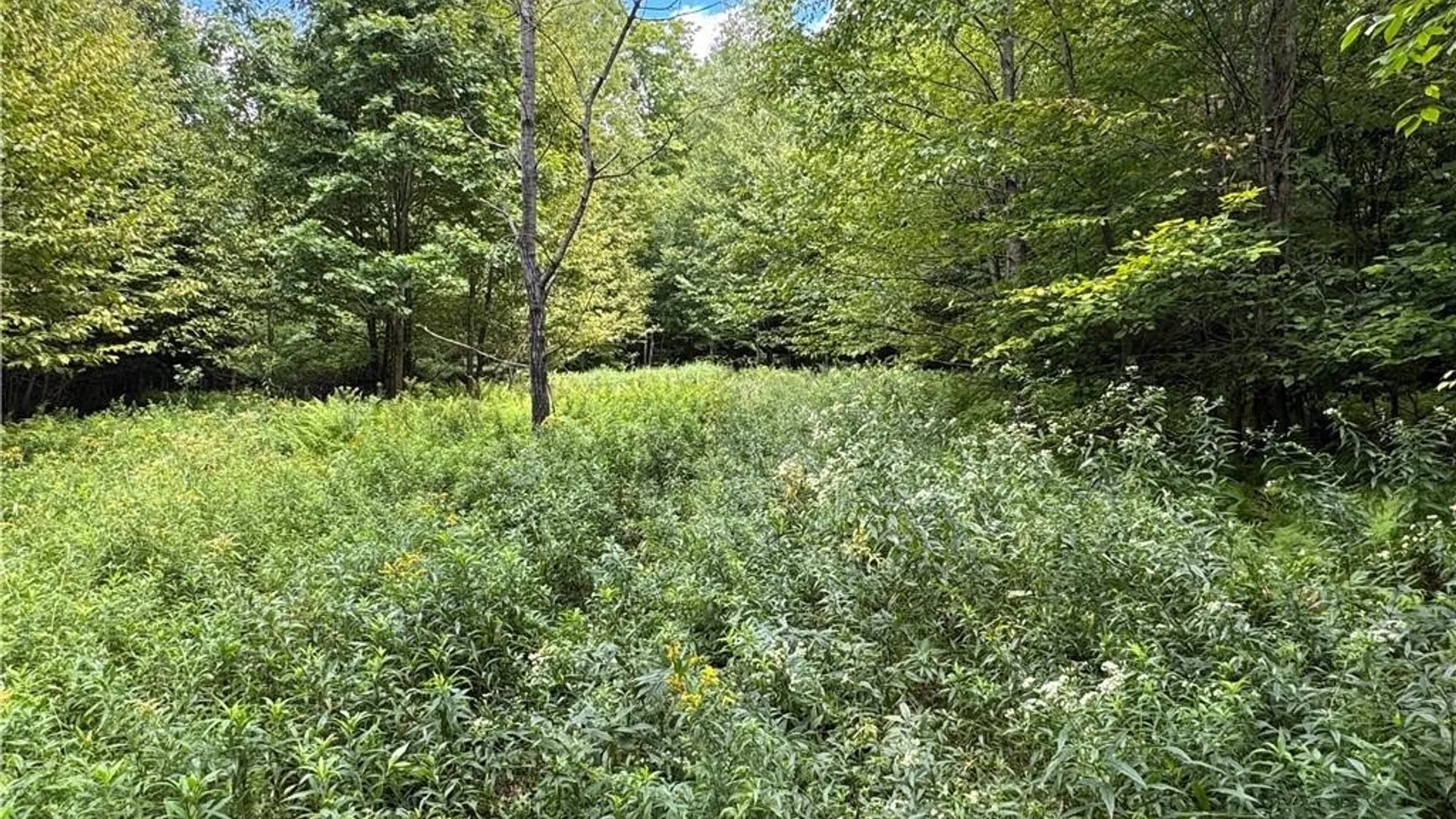 Property at 5400 County Road 38, Alma, NY 14708 40