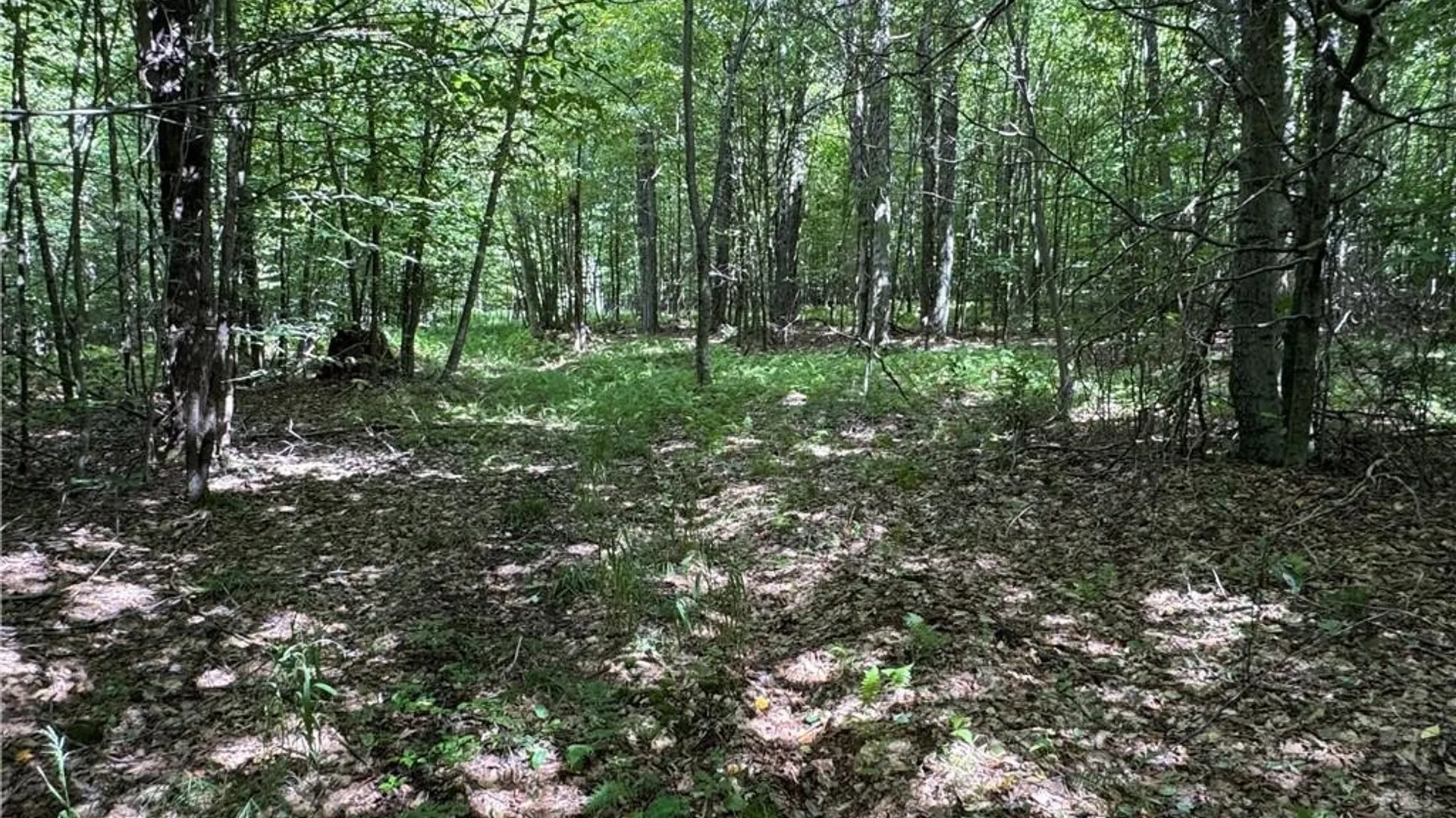 Property at 5400 County Road 38, Alma, NY 14708 41