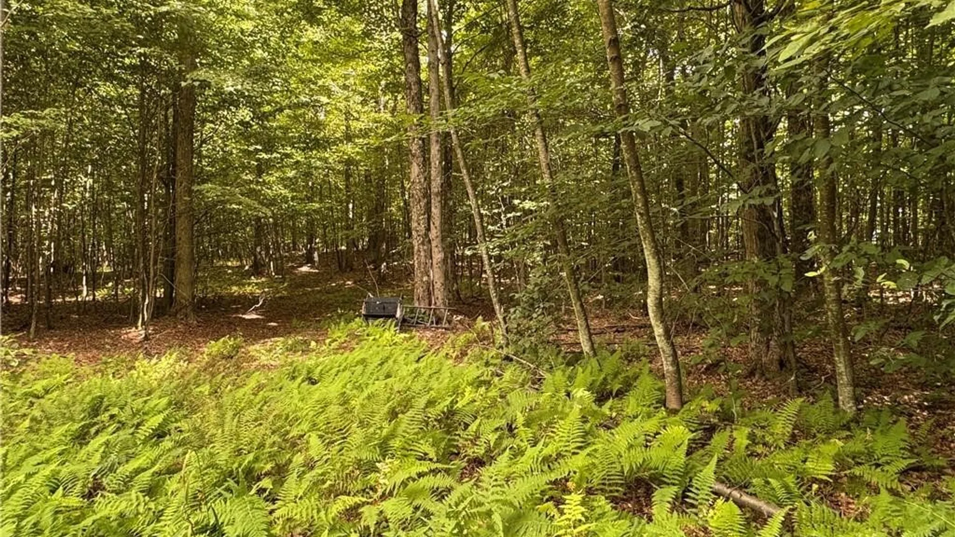 Property at 5400 County Road 38, Alma, NY 14708 42