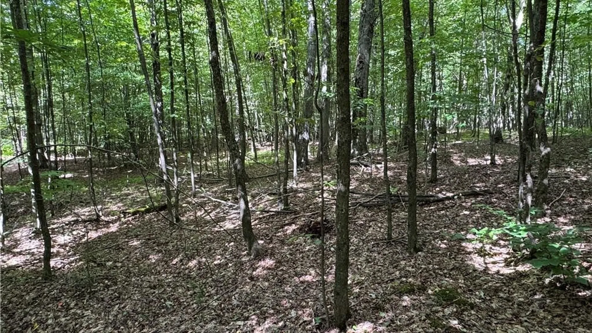 Property at 5400 County Road 38, Alma, NY 14708 44