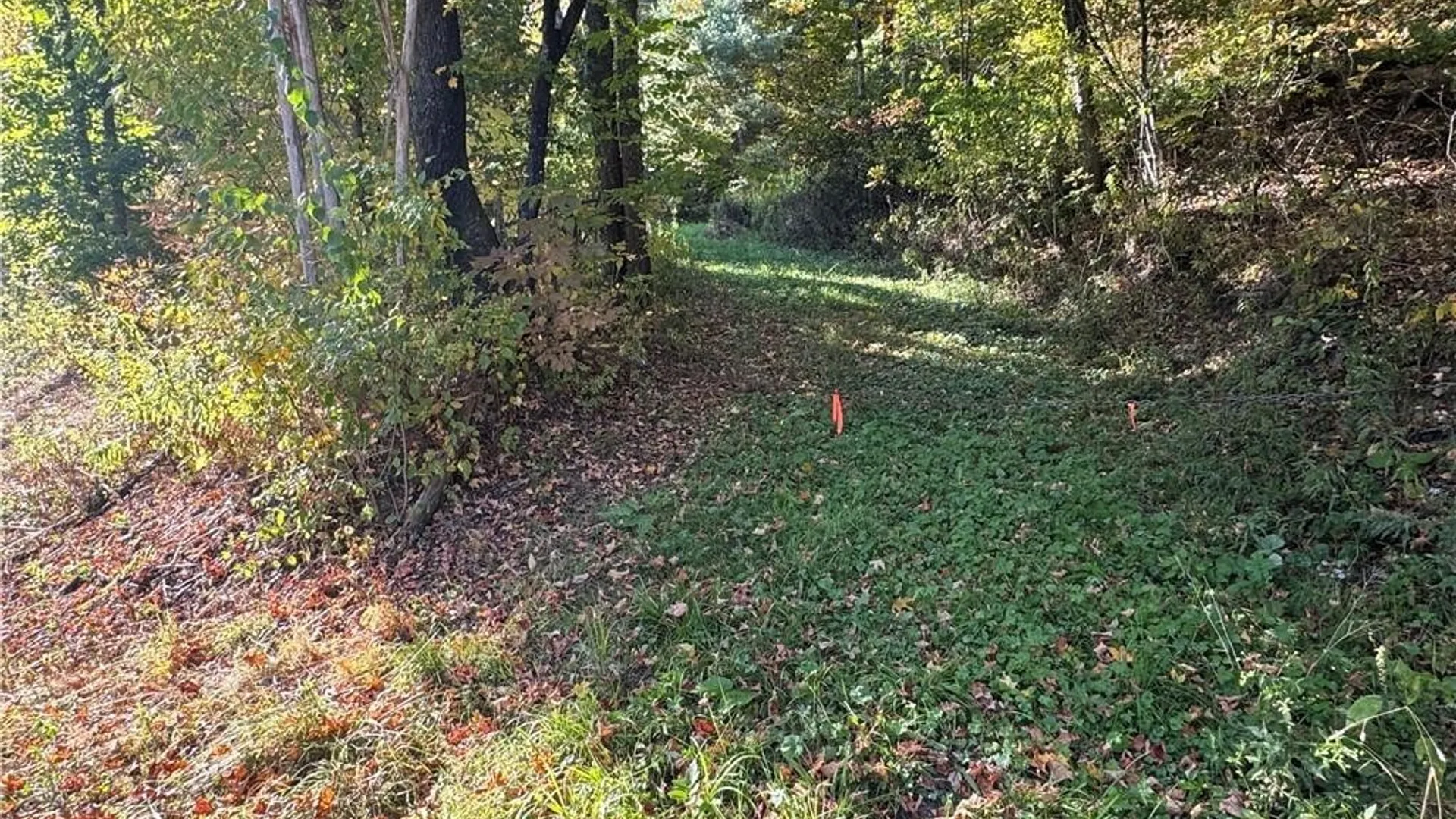 Property at 5400 County Road 38, Alma, NY 14708 46