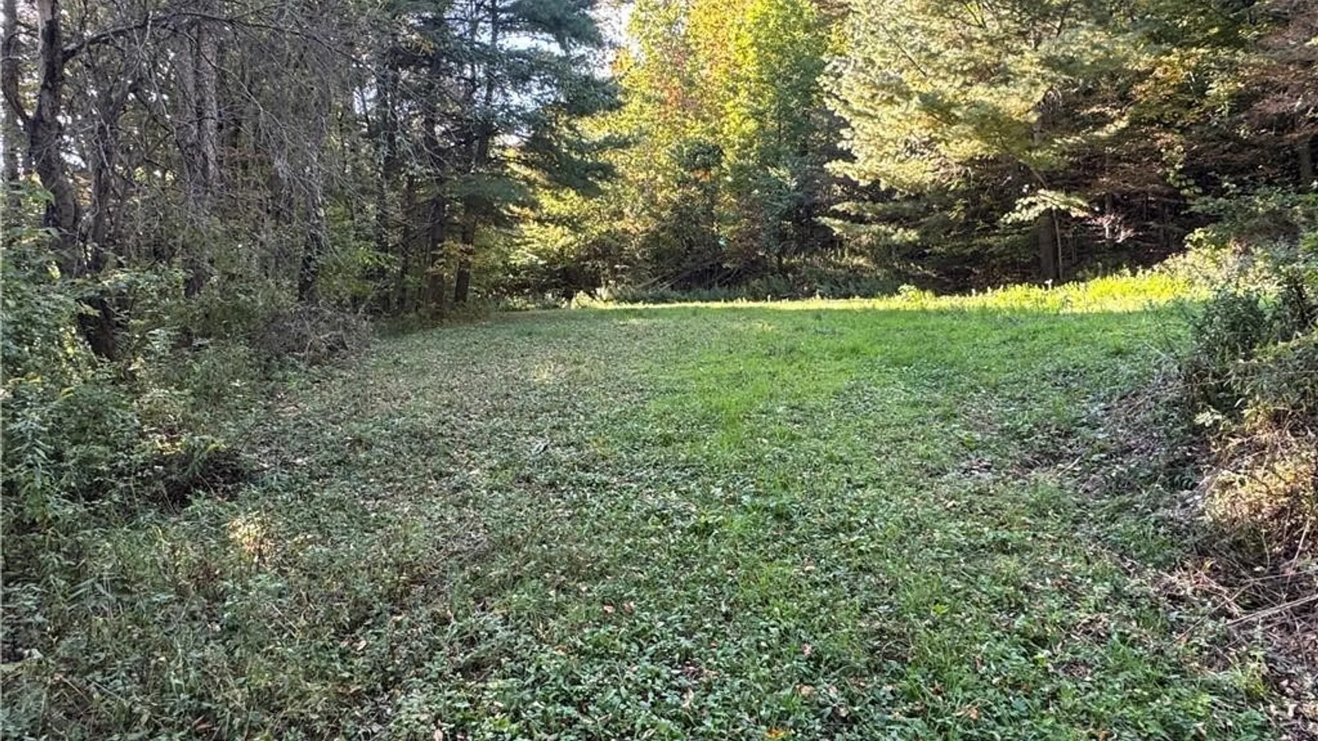 Property at 5400 County Road 38, Alma, NY 14708 47