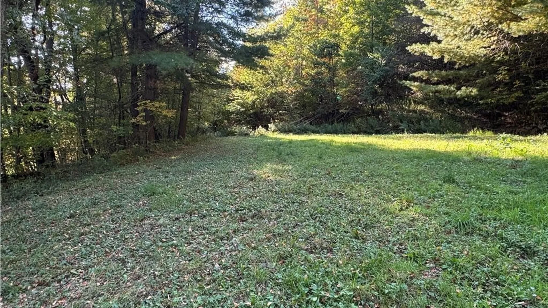 Property at 5400 County Road 38, Alma, NY 14708 48