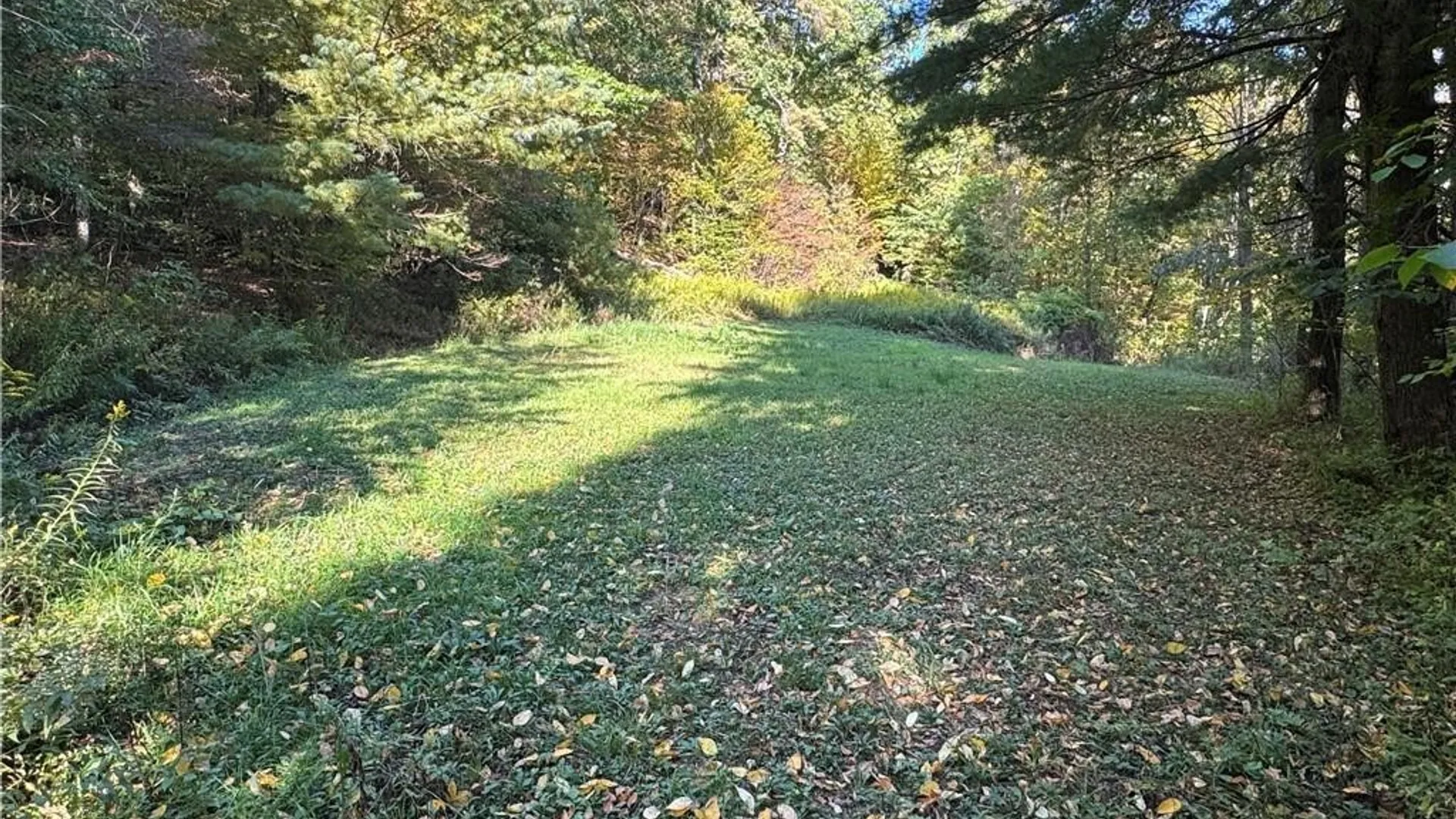 Property at 5400 County Road 38, Alma, NY 14708 50