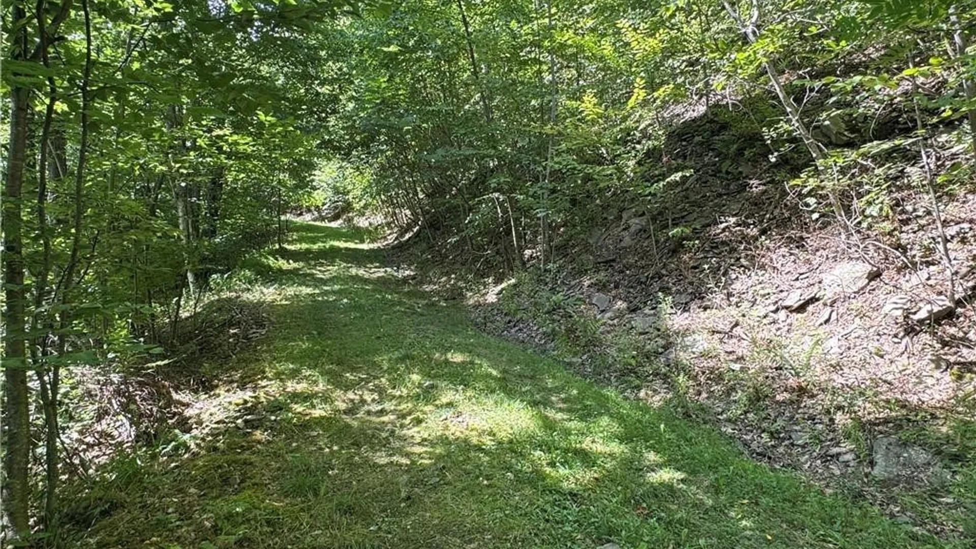 Property at 5400 County Road 38, Alma, NY 14708 6