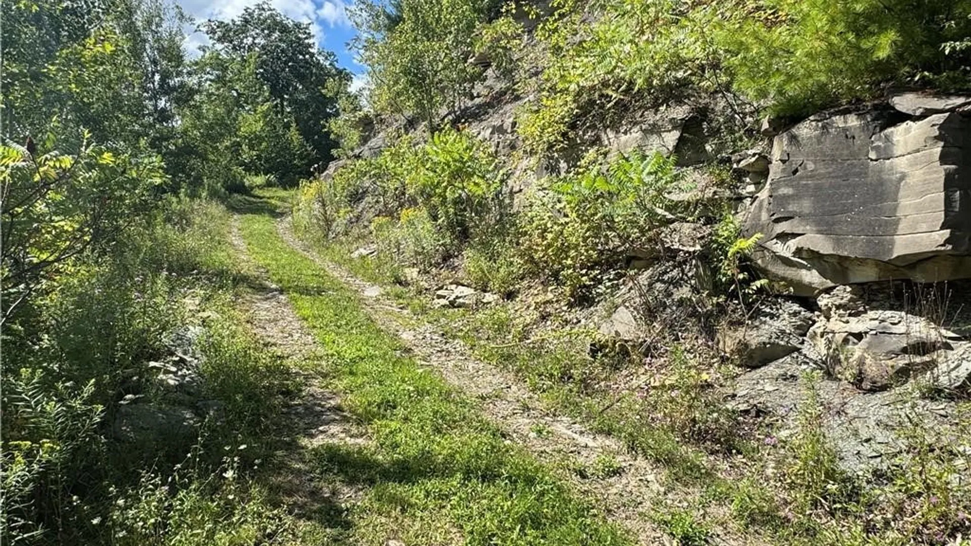 Property at 5400 County Road 38, Alma, NY 14708 7