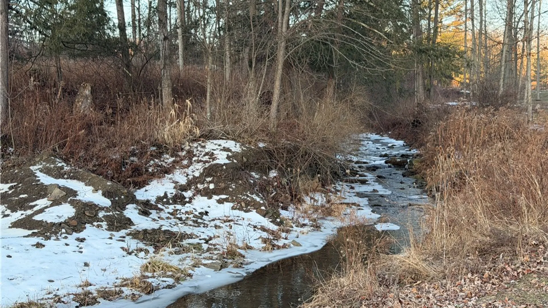 Property at 168 Watson Creek Road, Lindley, NY 14858 3