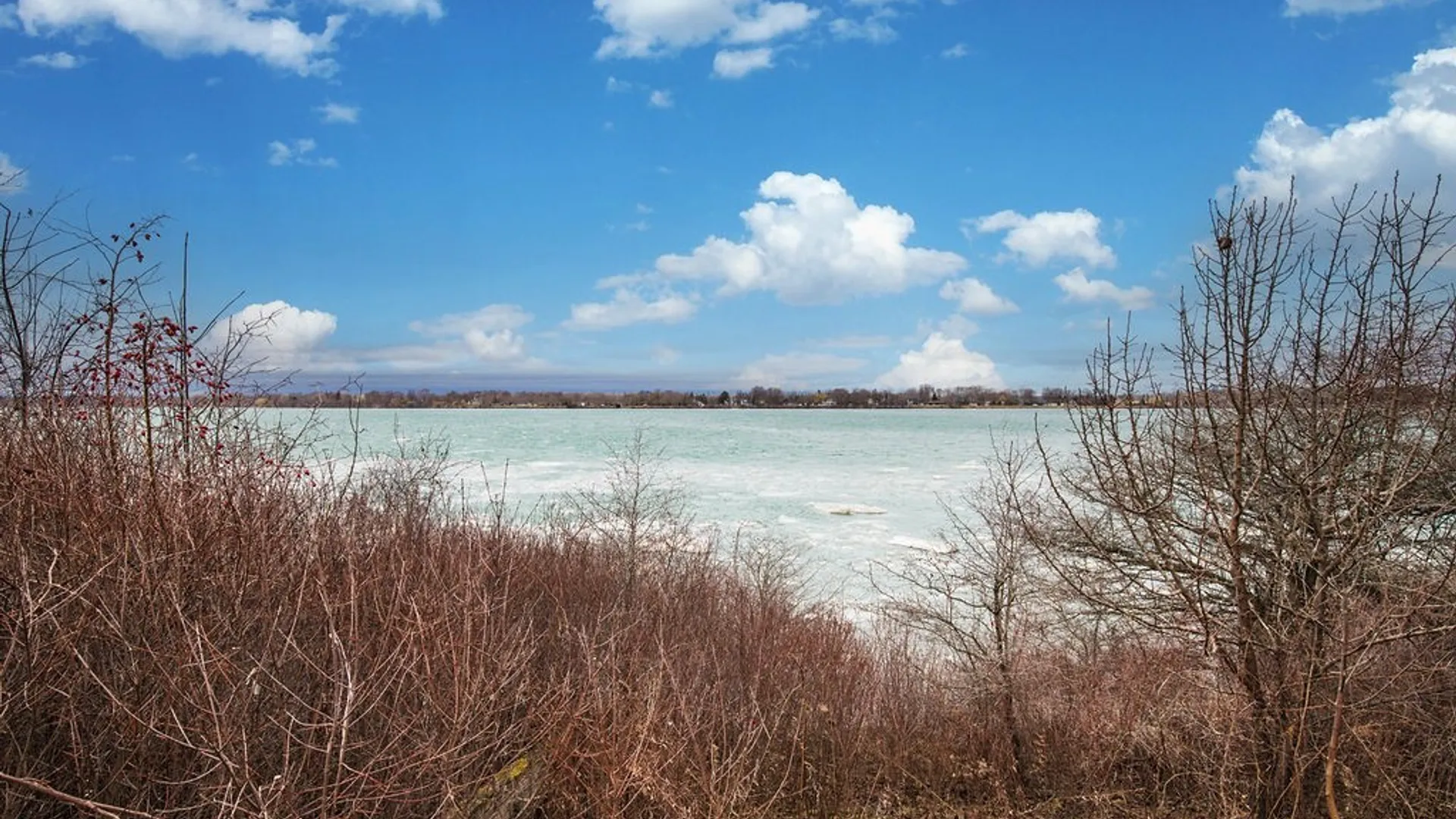 Property at 3471 West River Road, Grand Island, NY 14072 6