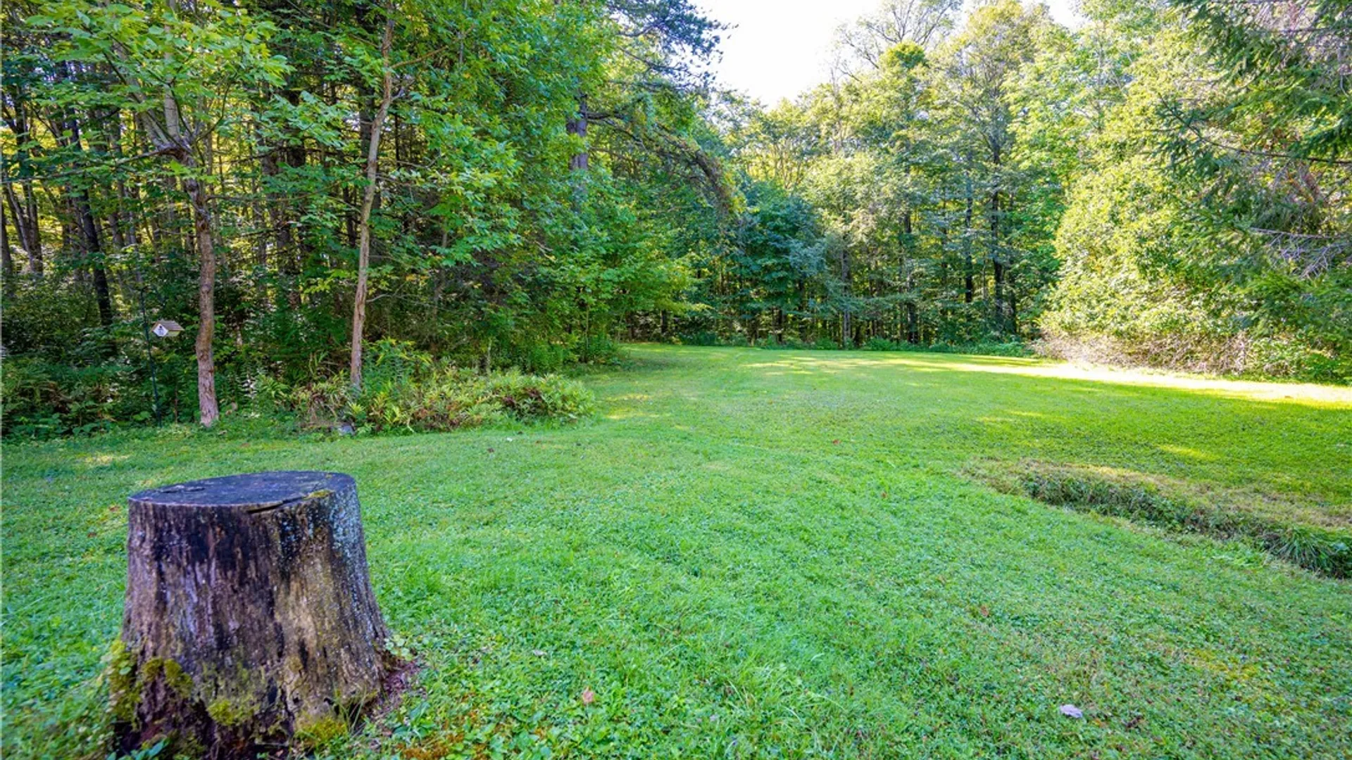 Property at 9299 Blanchard Road, Colden, NY 14170 13