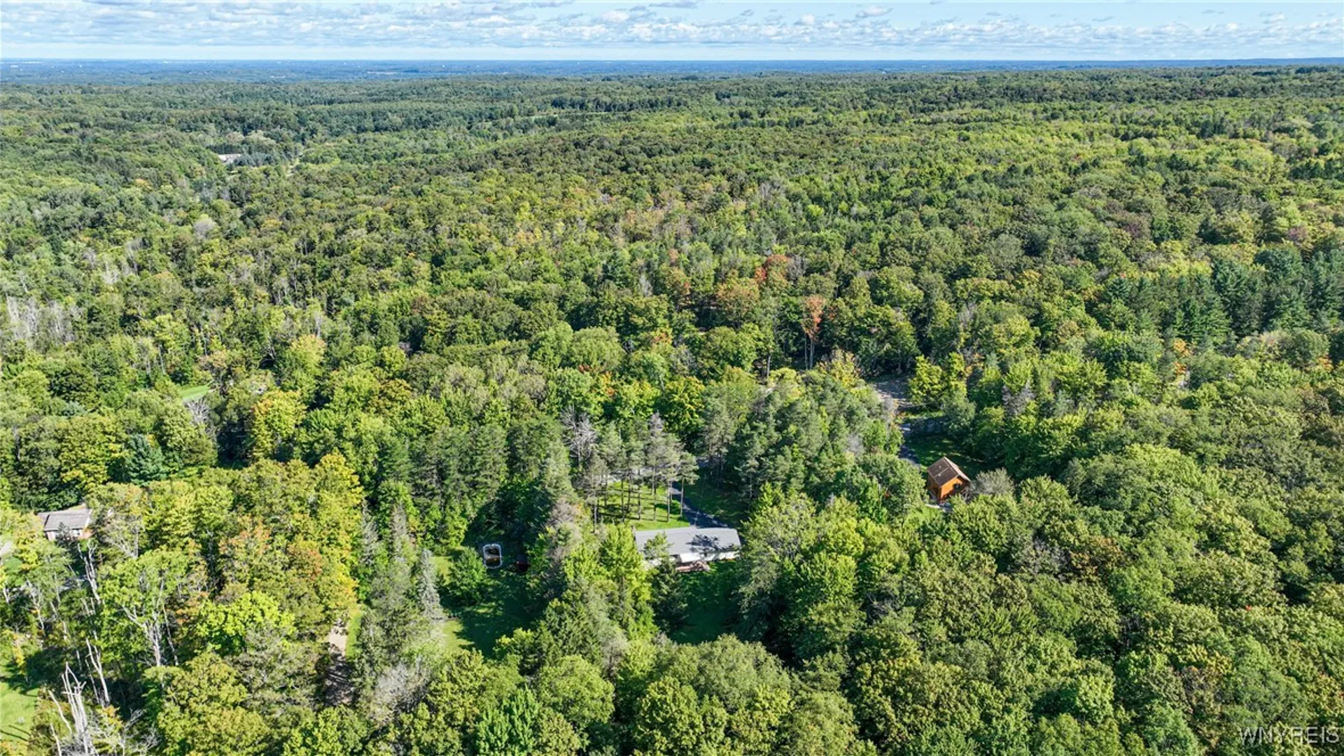 Property at 9299 Blanchard Road, Colden, NY 14170 49