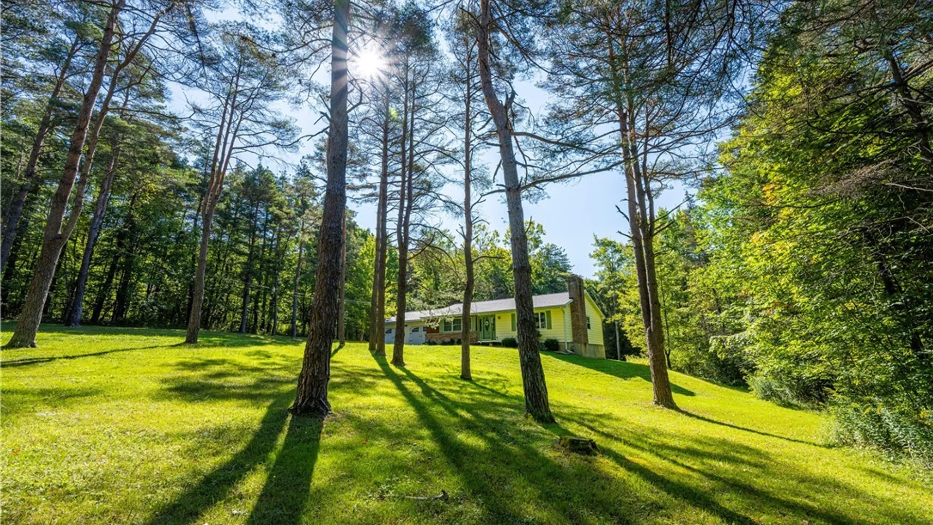 Property at 9299 Blanchard Road, Colden, NY 14170 6