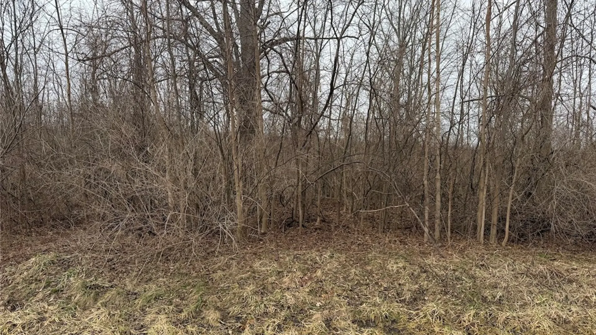 Property at Lewiston Road, Hartland, NY 14105 6