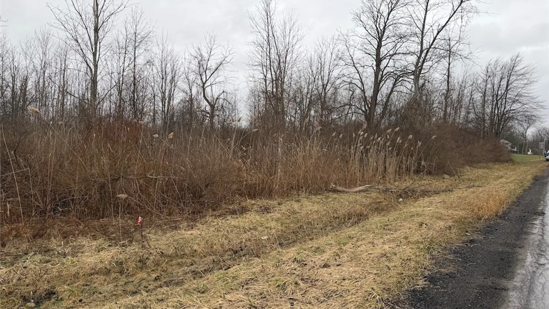 Property at Lewiston Road, Hartland, NY 14105 7