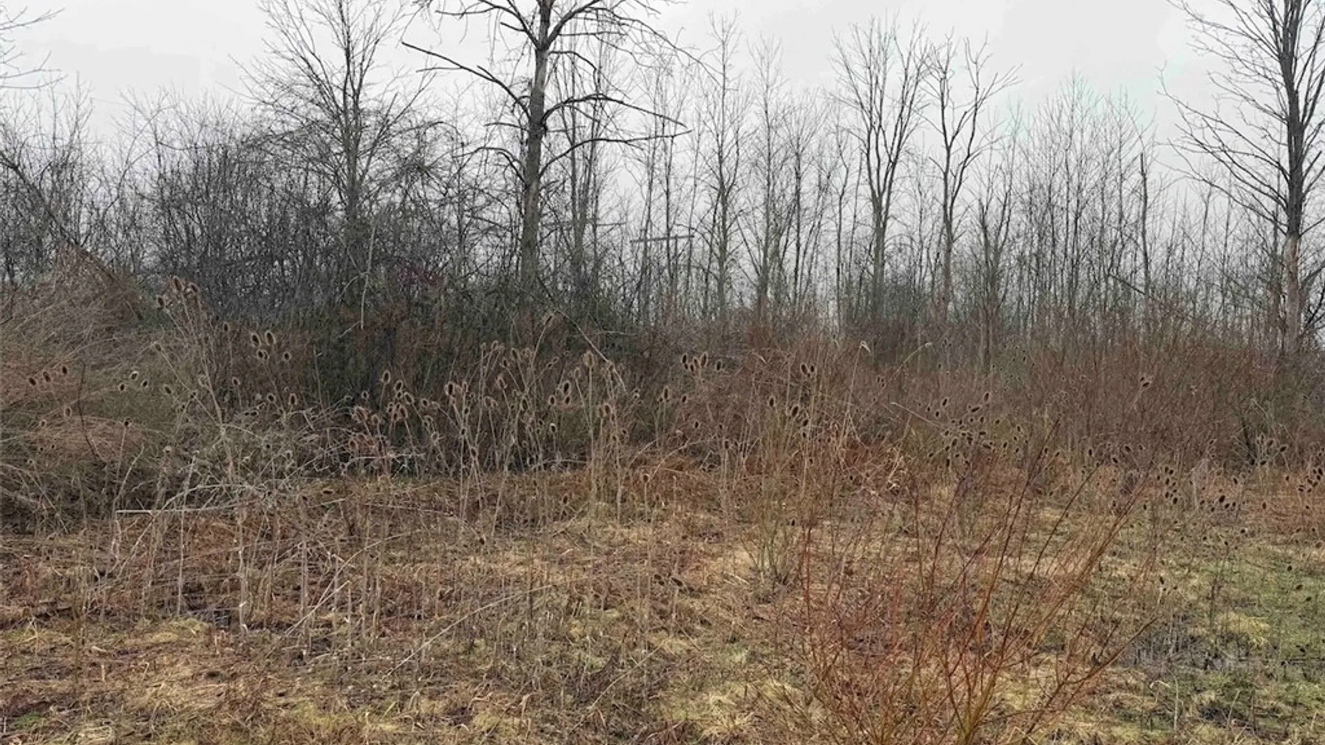 Property at Lewiston Road, Hartland, NY 14105 9