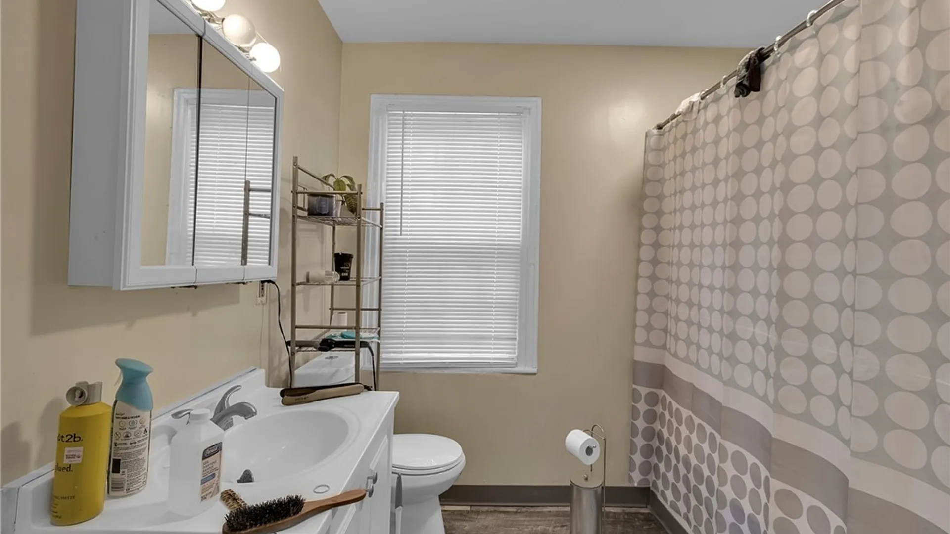 Property at 43 Waterman Street, Lockport City, NY 14094 23