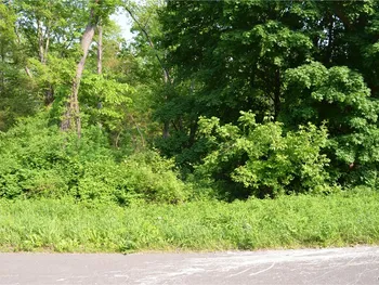 River Road, Bethlehem, NY 12158