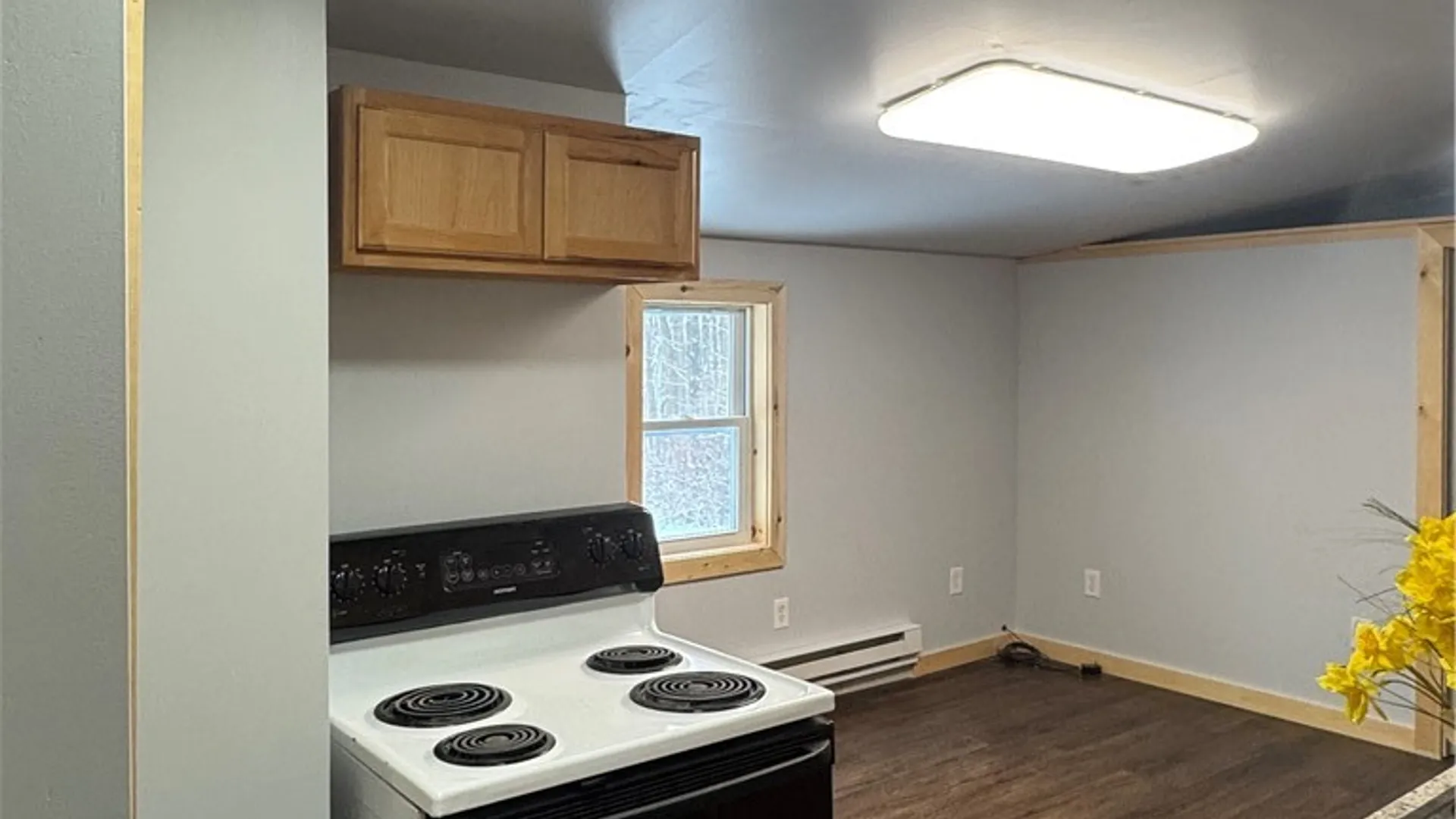 Property at 26 Bower Road, Newfield, NY 14867 13