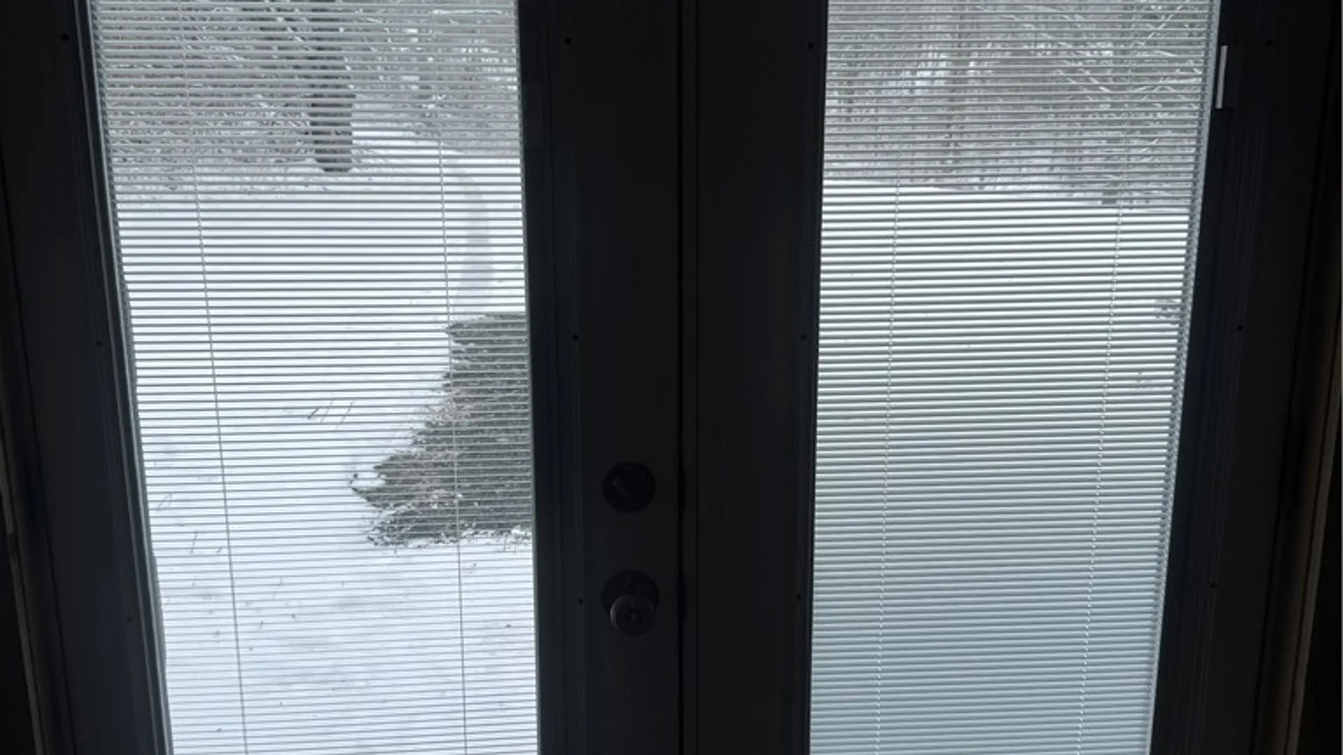 Property at 26 Bower Road, Newfield, NY 14867 21