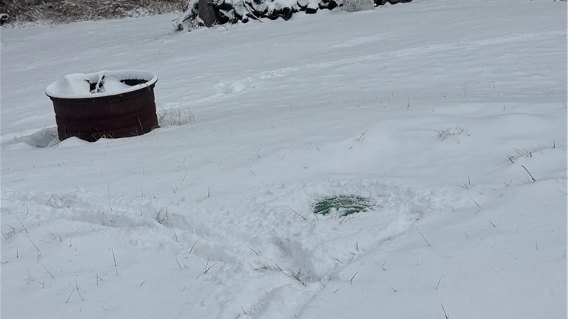 Property at 26 Bower Road, Newfield, NY 14867 23