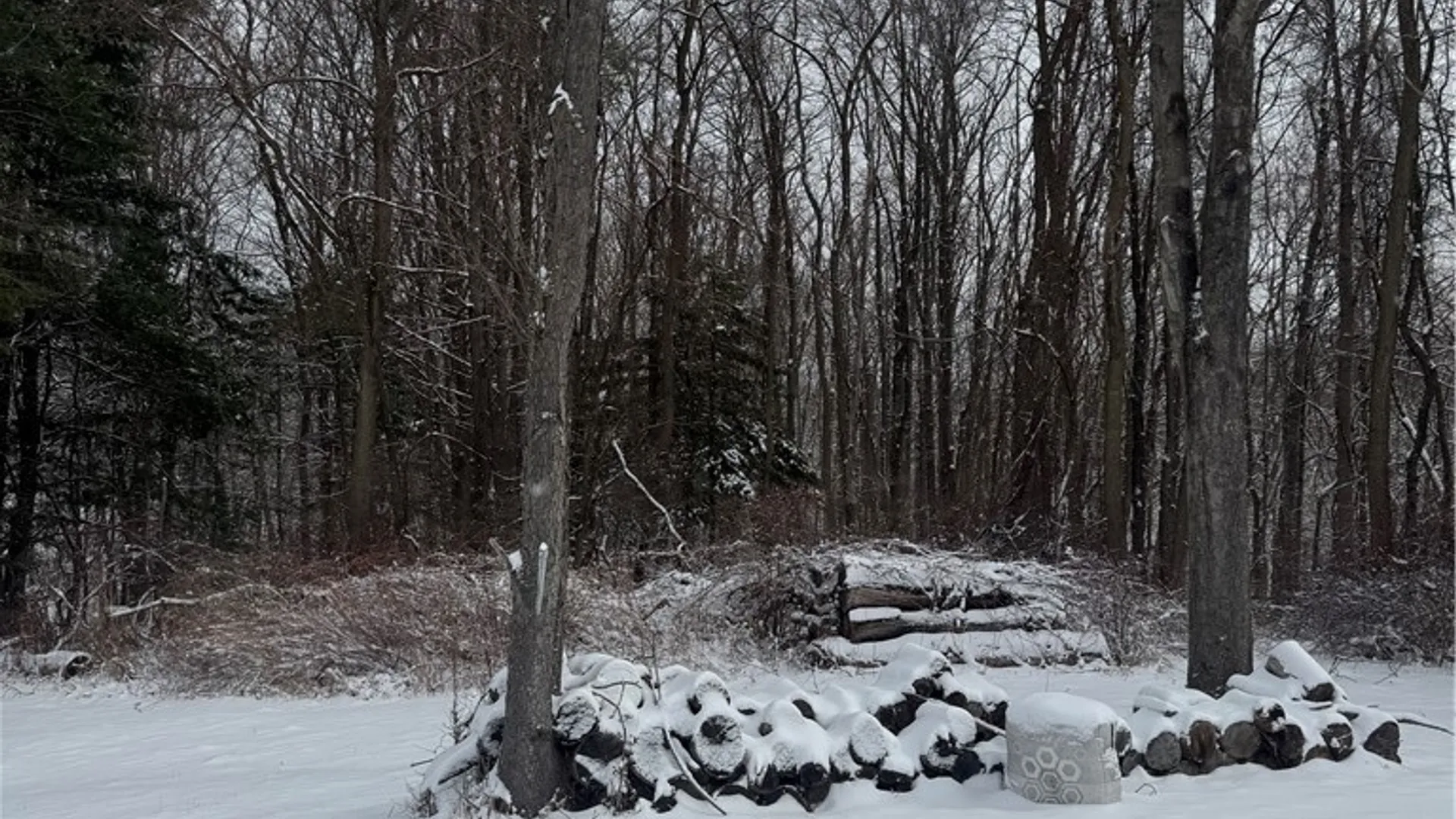 Property at 26 Bower Road, Newfield, NY 14867 4