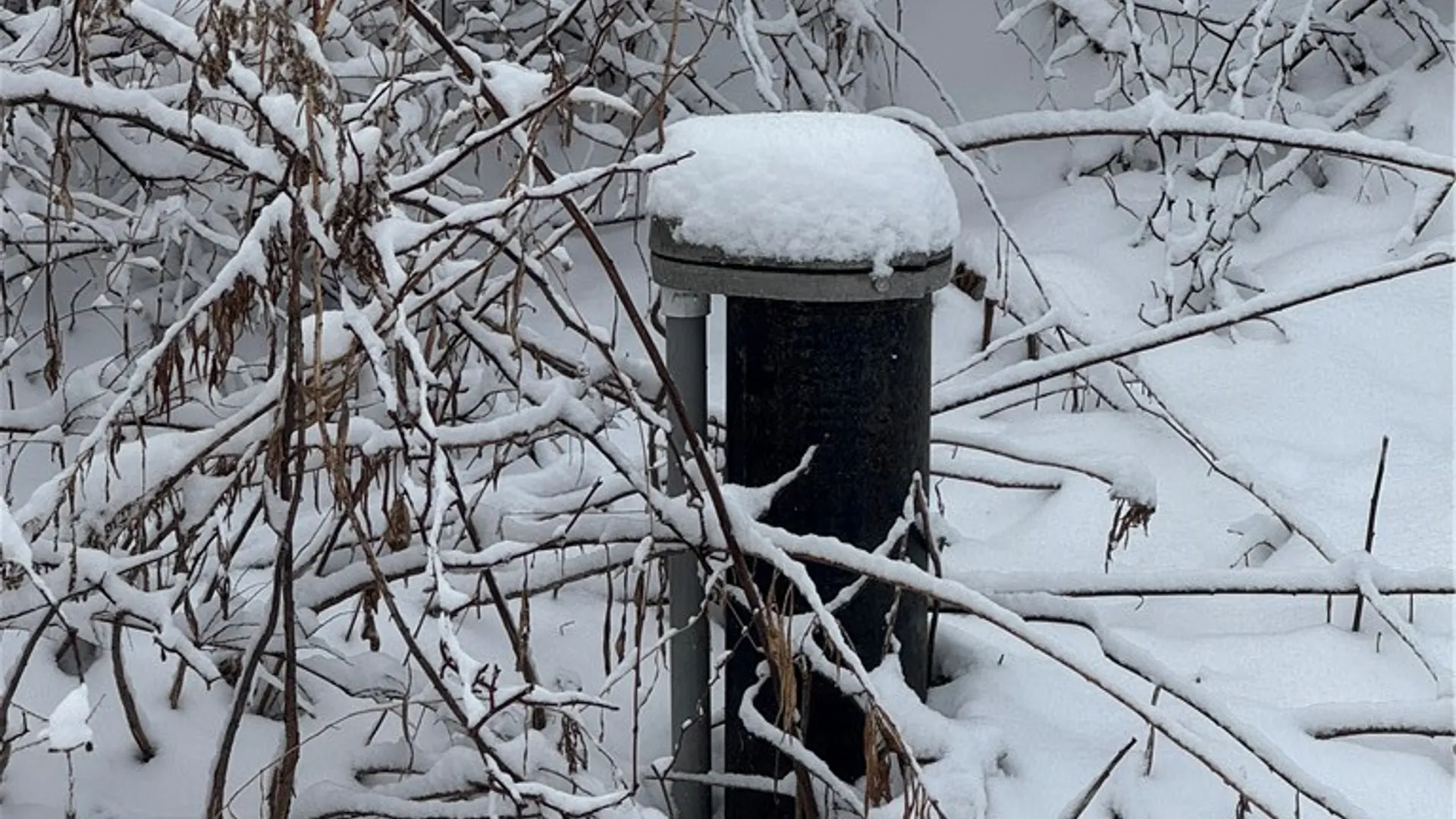 Property at 26 Bower Road, Newfield, NY 14867 44