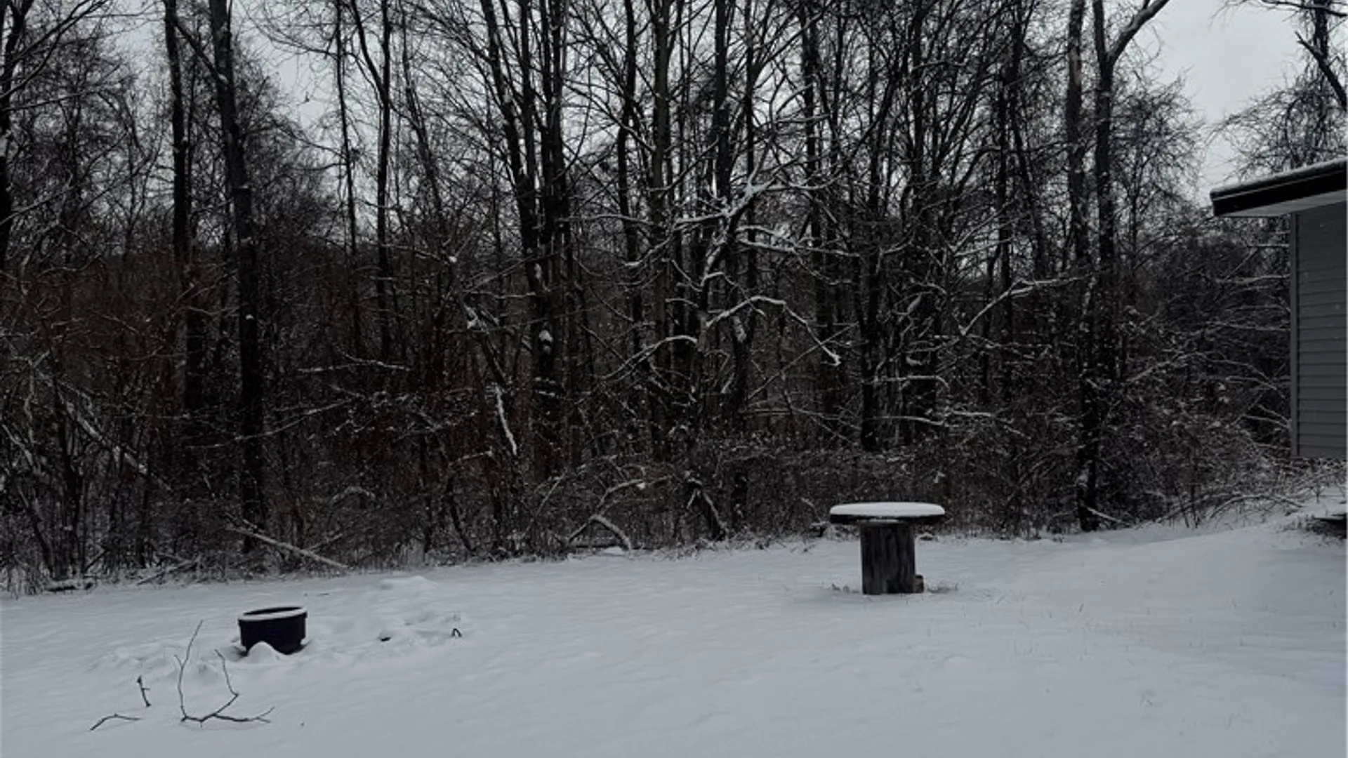 Property at 26 Bower Road, Newfield, NY 14867 46