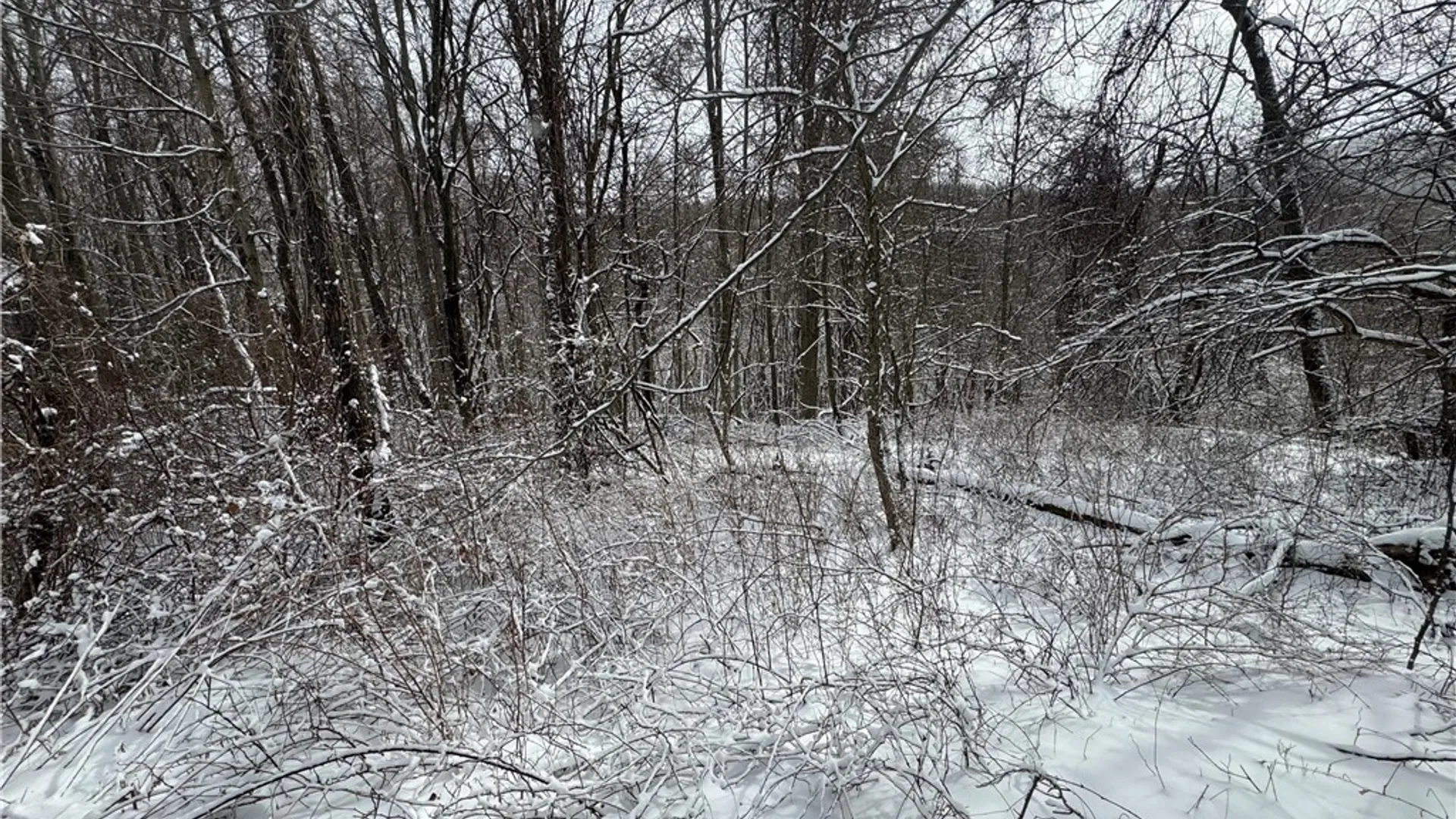 Property at 26 Bower Road, Newfield, NY 14867 47