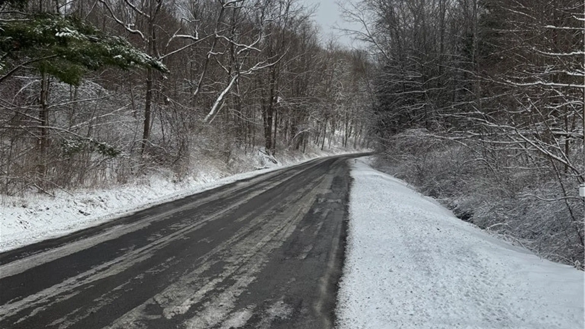 Property at 26 Bower Road, Newfield, NY 14867 49