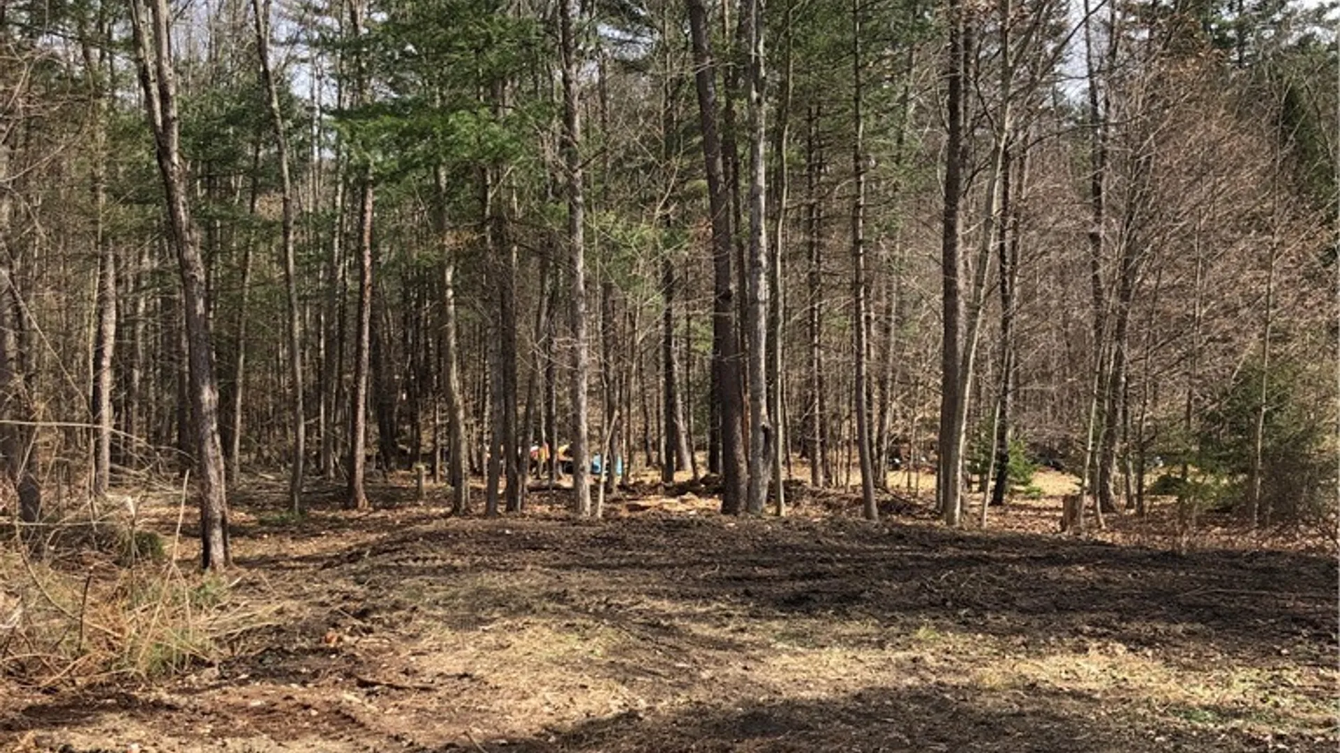 Property at Maple Drive, Milford, NY 13820 2