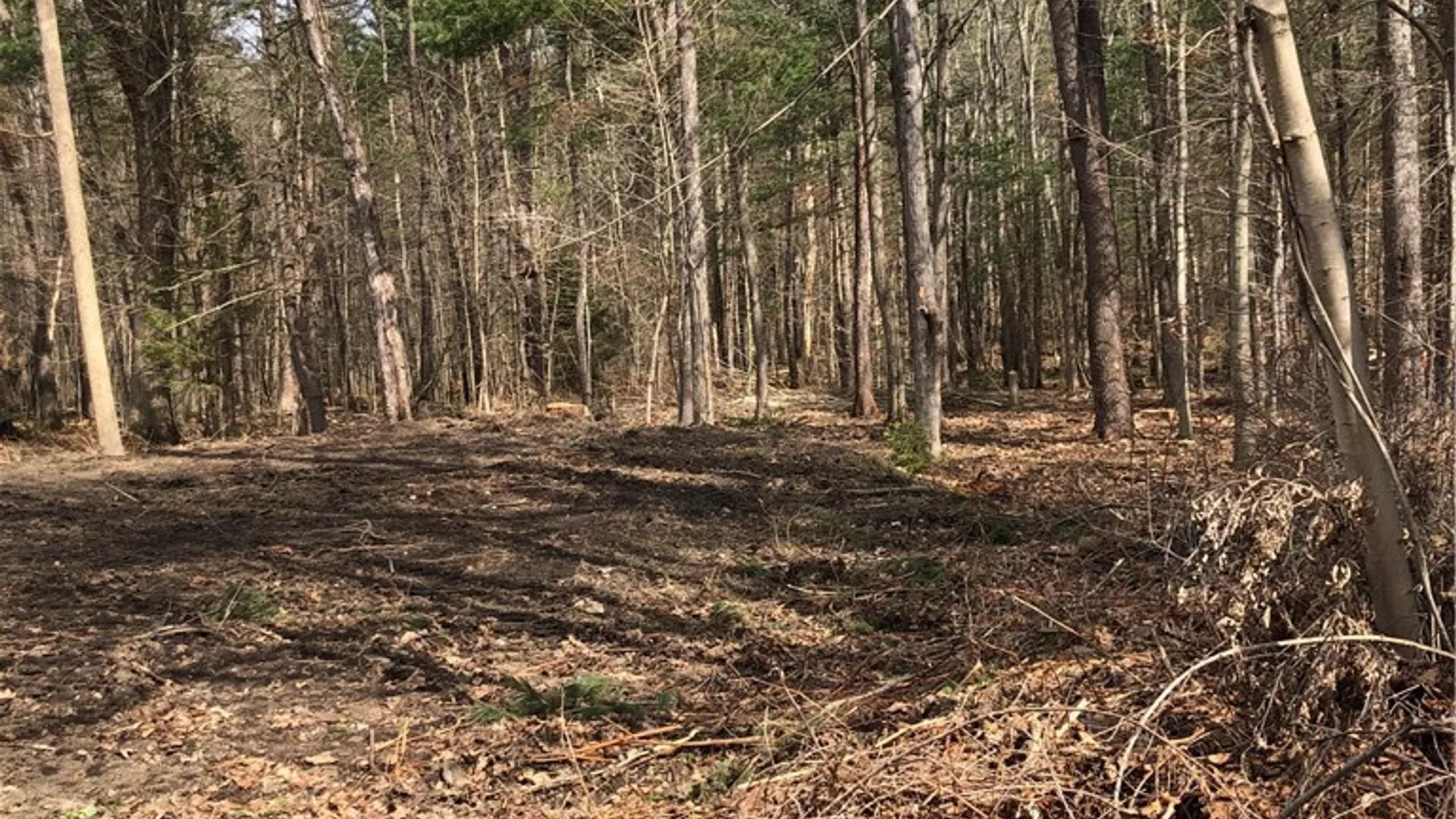 Property at Maple Drive, Milford, NY 13820 5