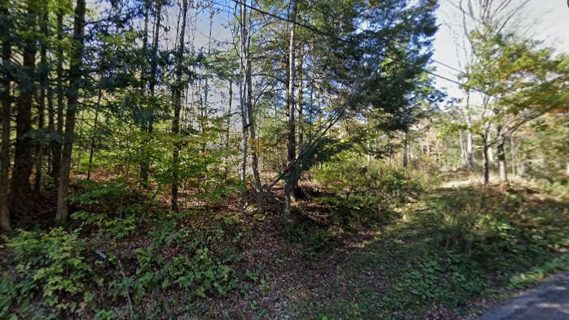 Property at 2959 Roods Creek Road, Deposit, NY 13783 2
