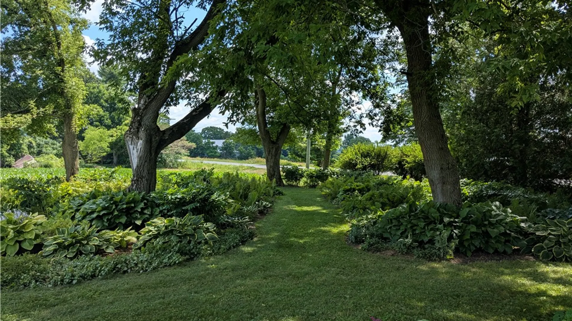 Property at 2560 Burns Road, Venice, NY 13147 7