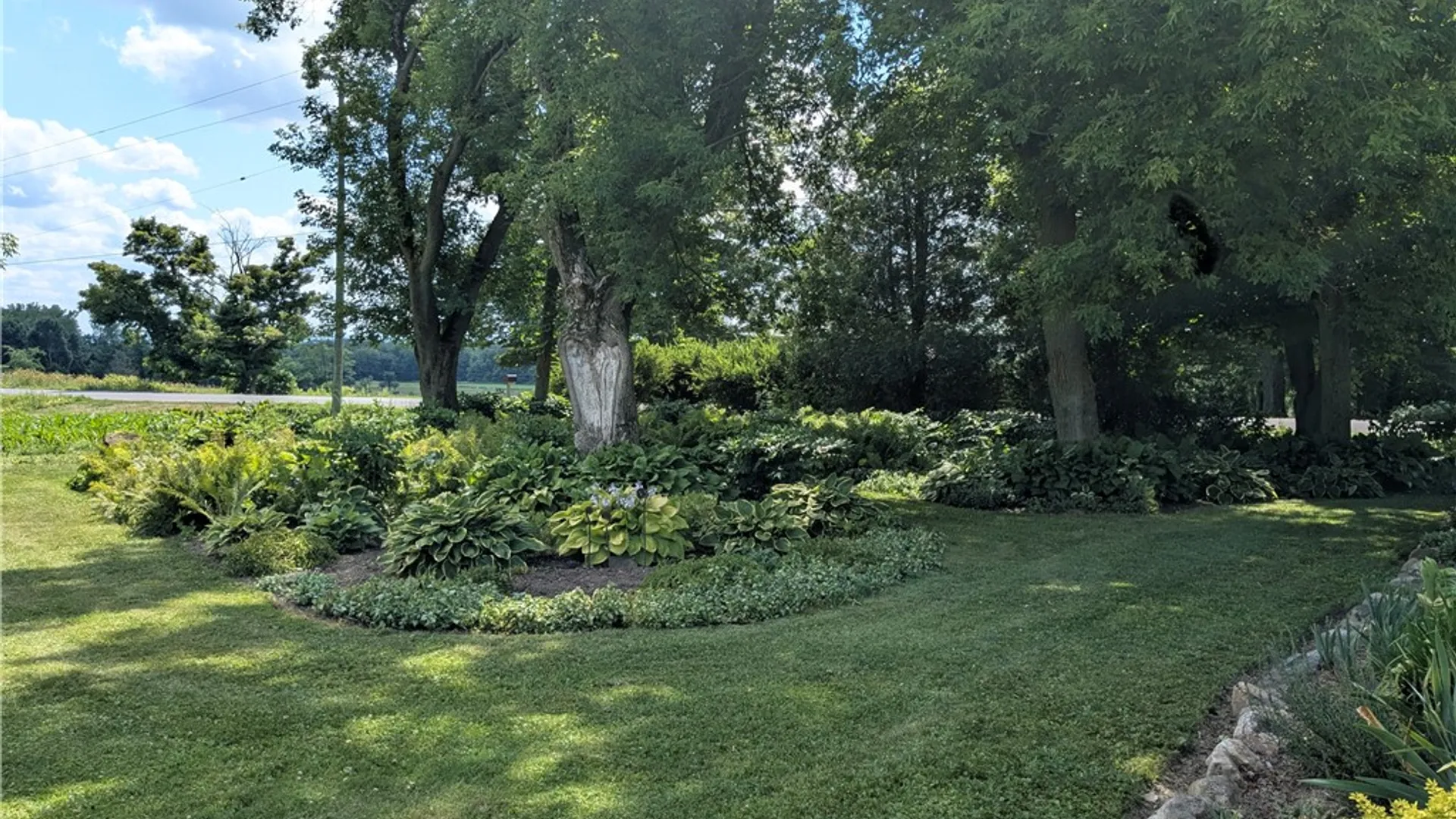 Property at 2560 Burns Road, Venice, NY 13147 8