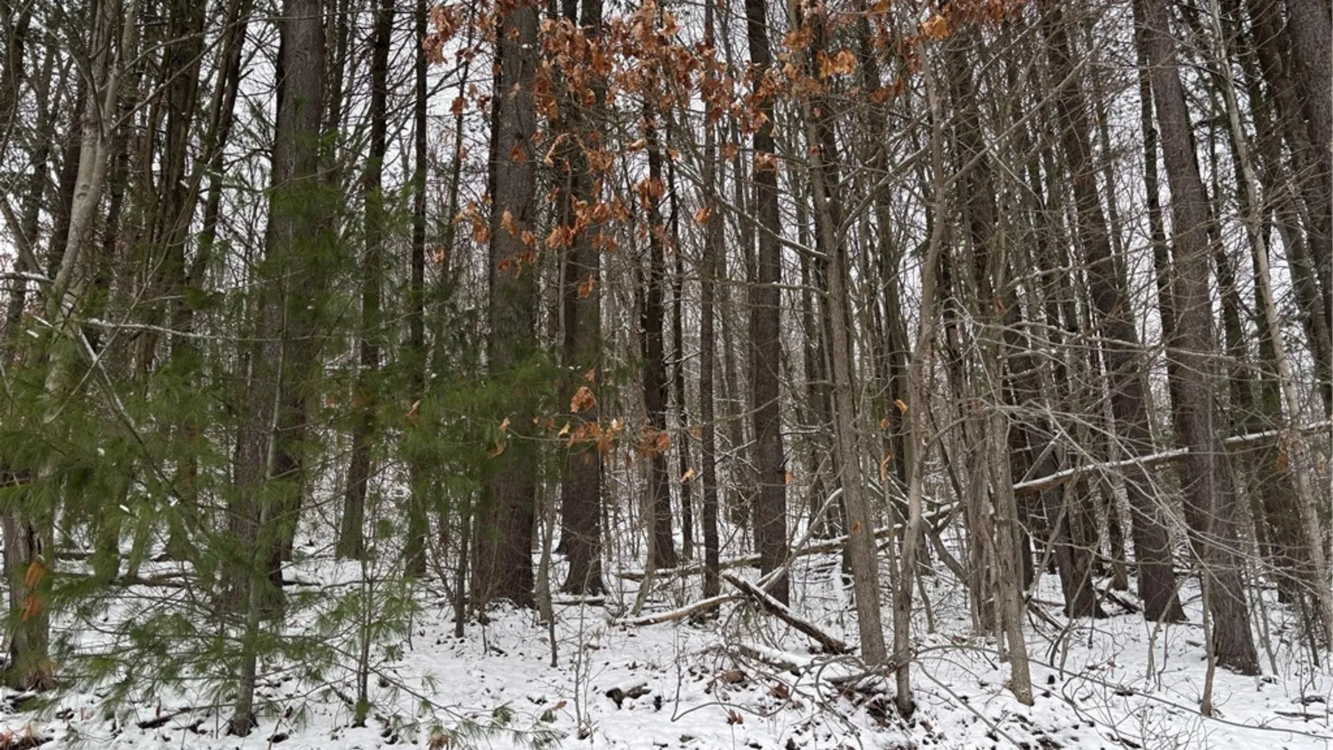 Property at Obrien Road, Bath, NY 14879 4