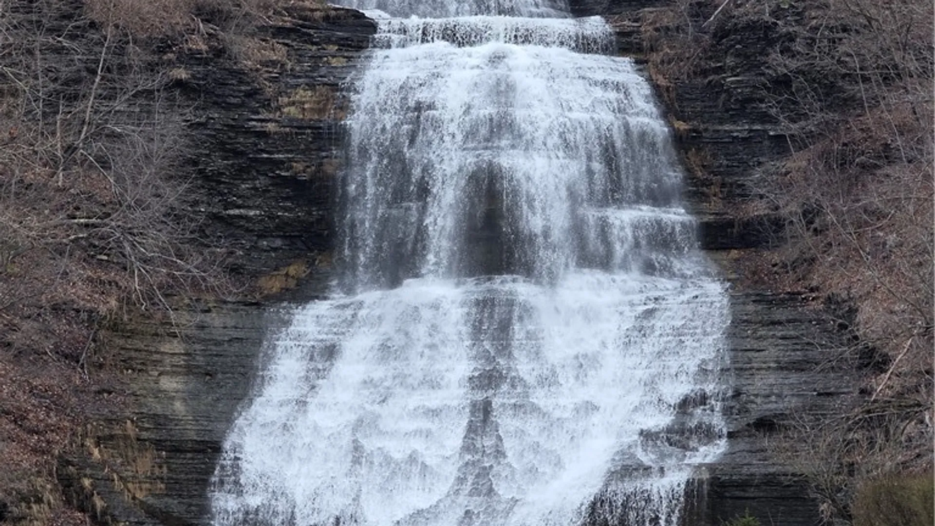 Property at 123 Catharine Street, Montour, NY 14865 41