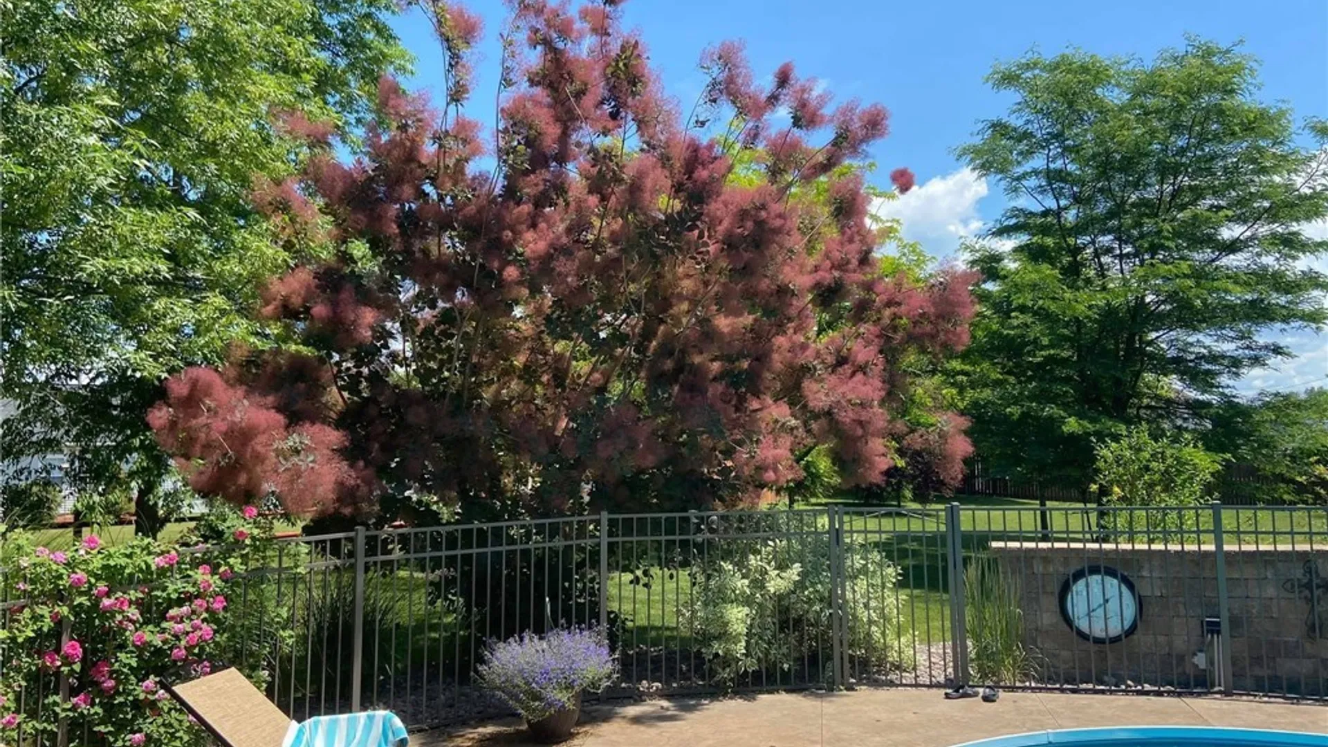 Property at 8735 Alizarin Avenue, Cicero, NY 13039 44