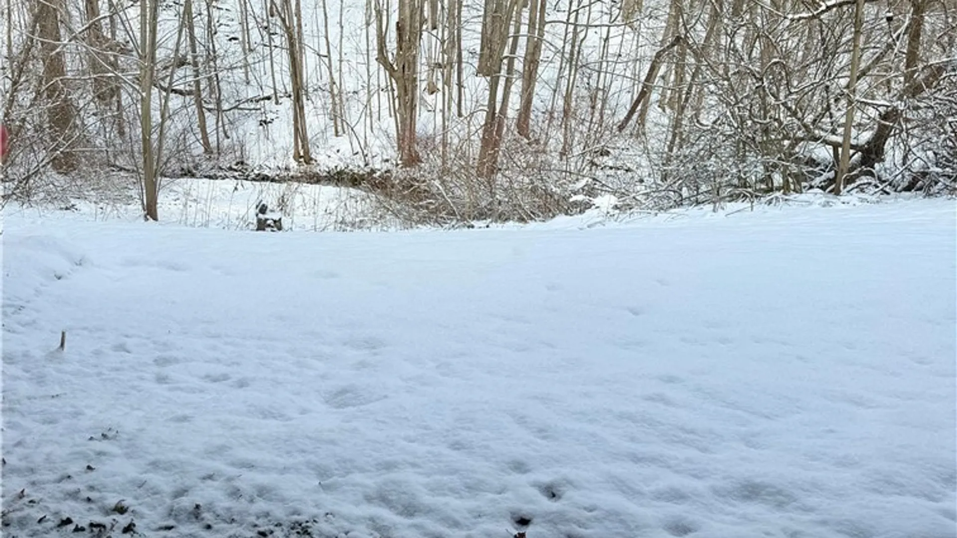 Property at 279 Cedar Court, Van Buren, NY 13027 16