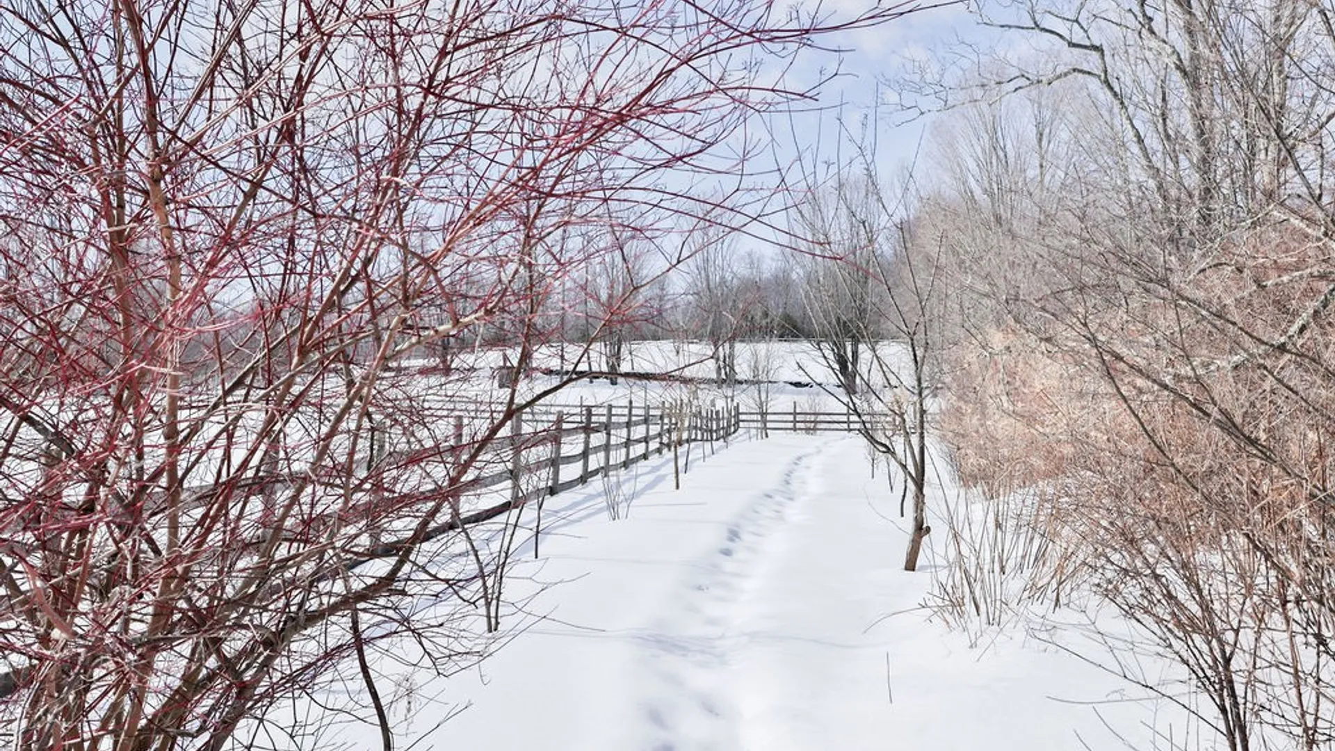 Property at 6199 County Highway 16, Franklin, NY 13753 27