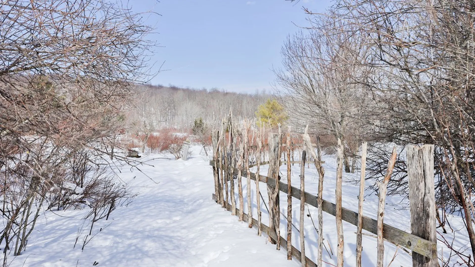 Property at 6199 County Highway 16, Franklin, NY 13753 31