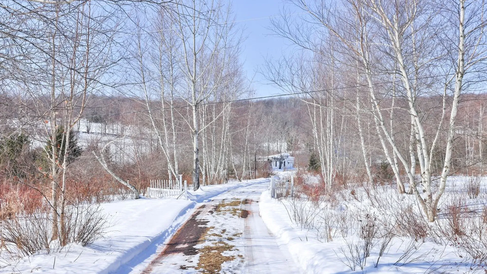 Property at 6199 County Highway 16, Franklin, NY 13753 35