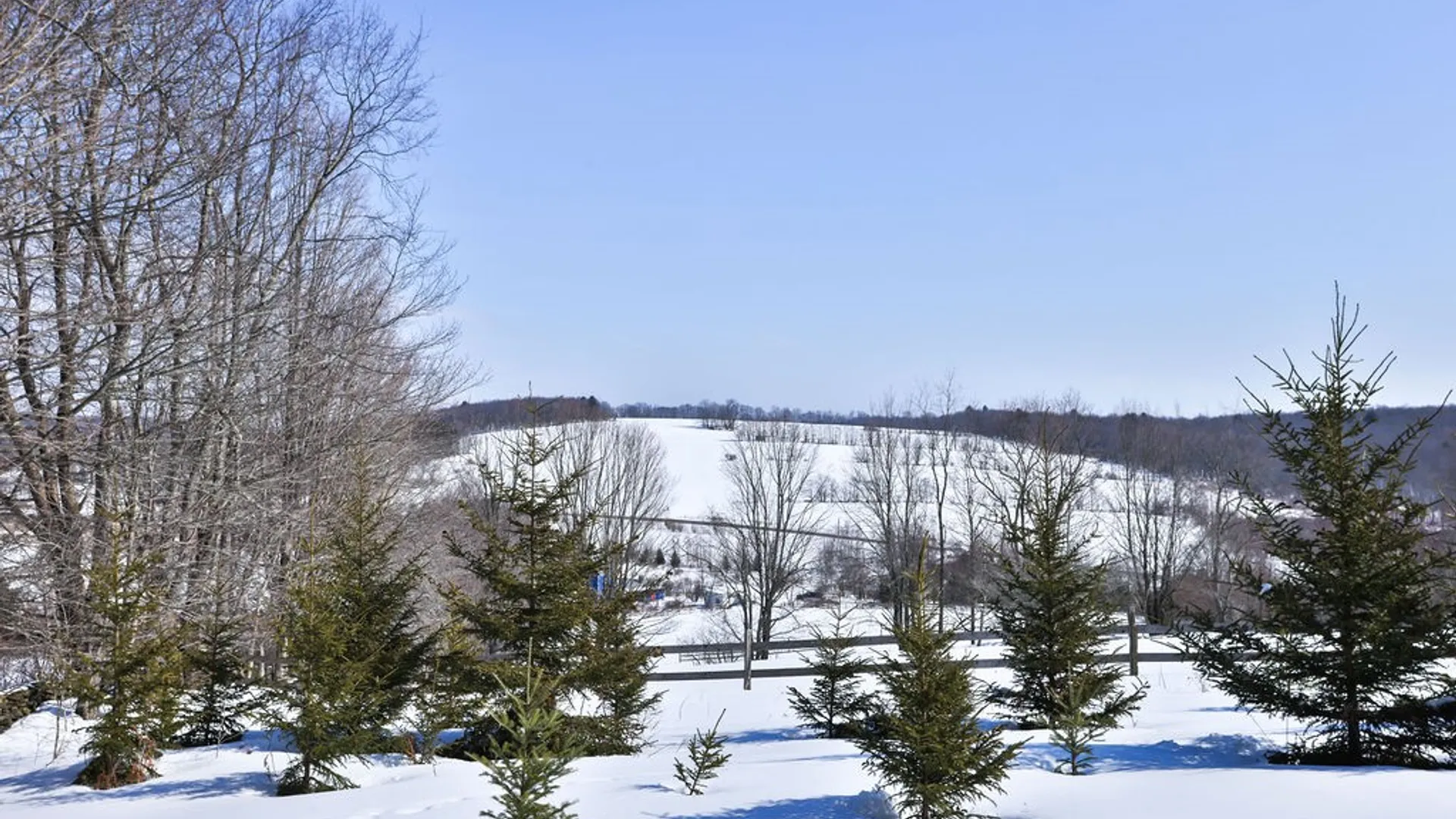 Property at 6199 County Highway 16, Franklin, NY 13753 36
