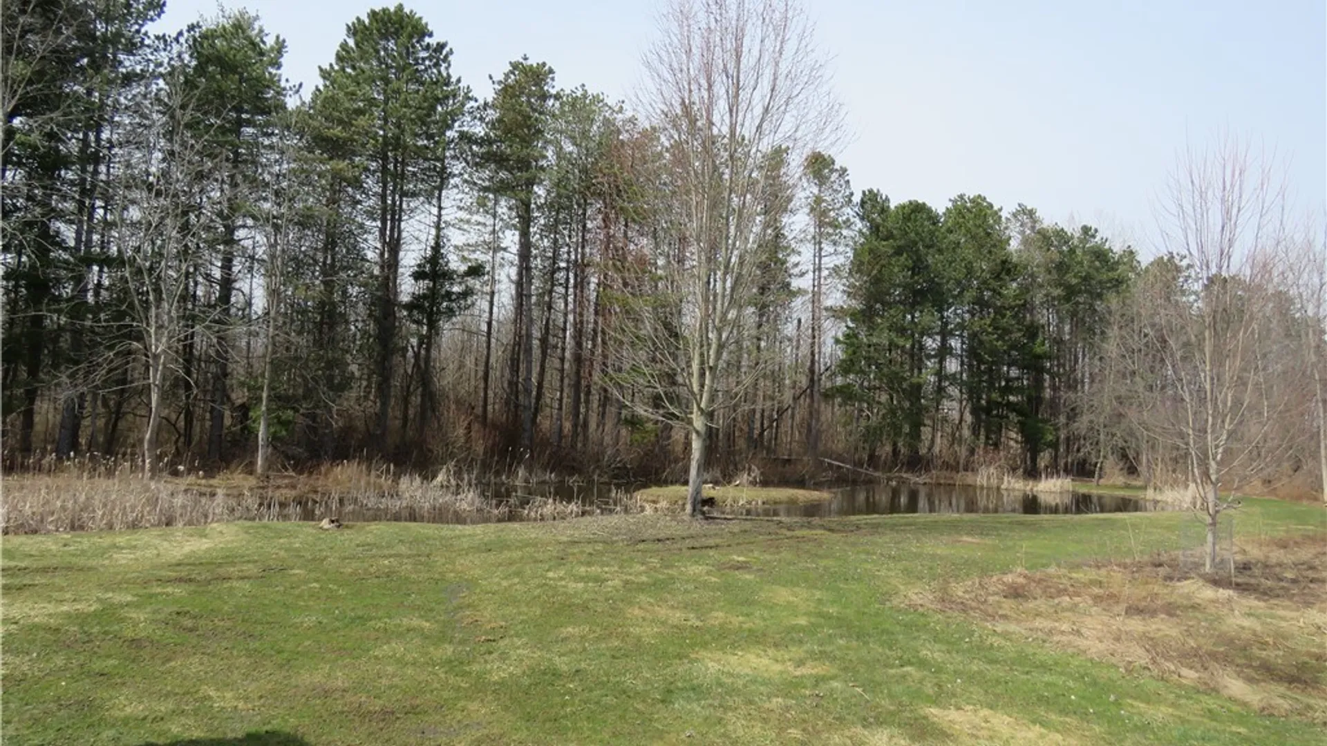 Property at 1744 Kent Road, Carlton, NY 14477 36