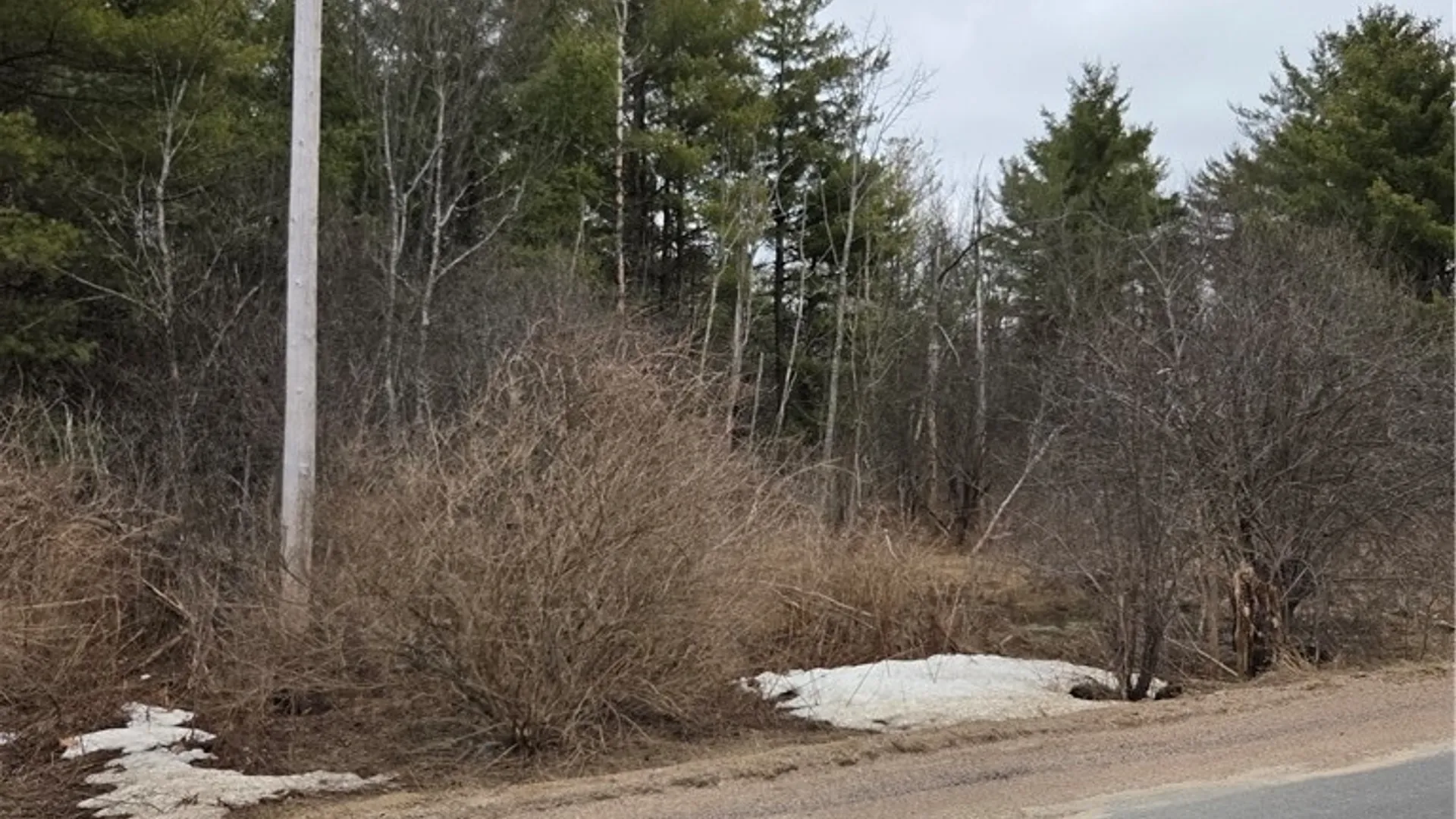 Property at Calaboga Road, Alexandria, NY 13679 10